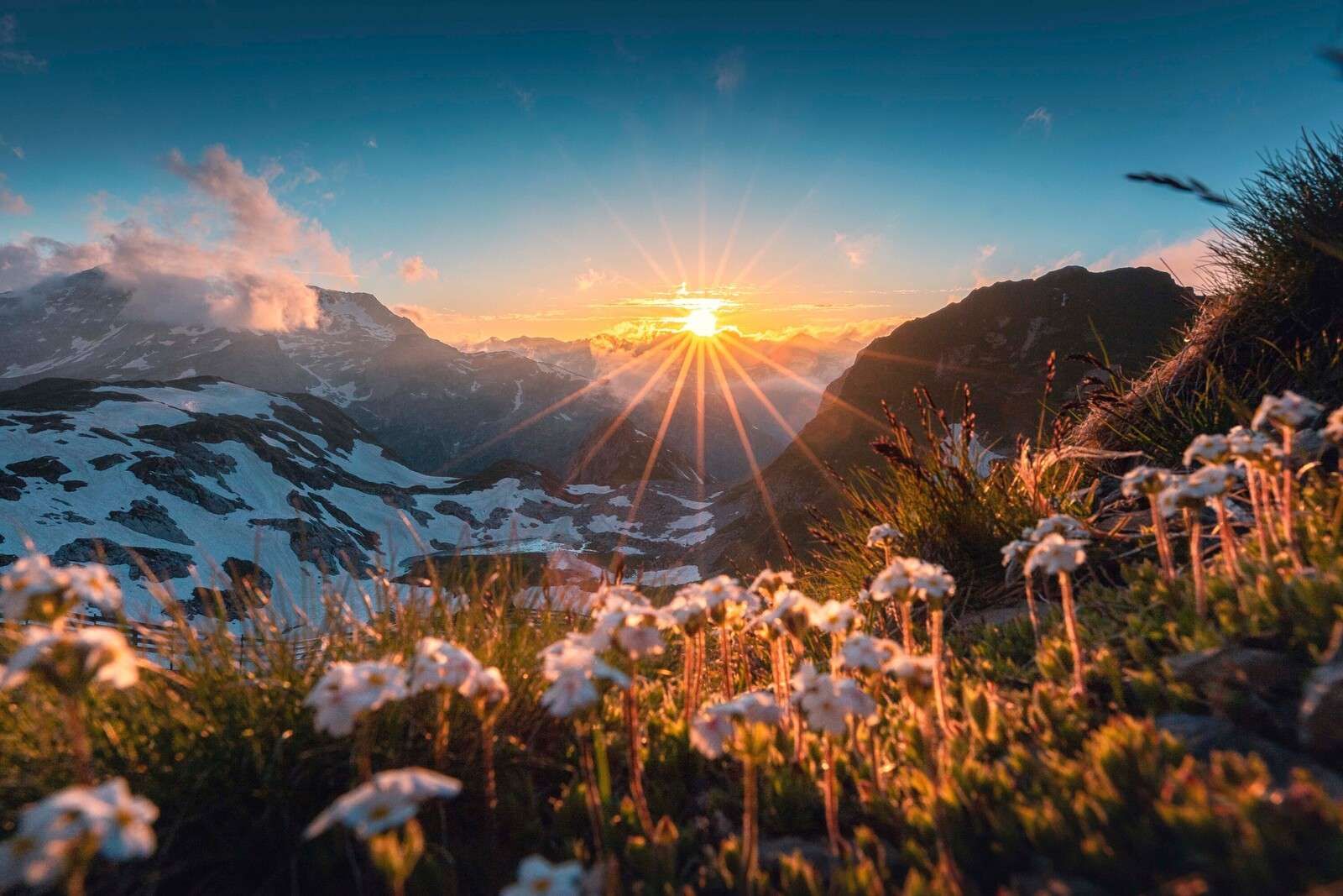 Luz del sol sobre prado alpino