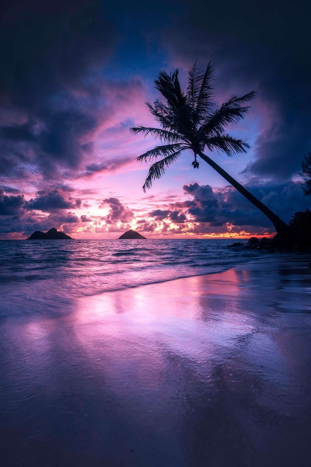 Playa de palmeras al atardecer morado