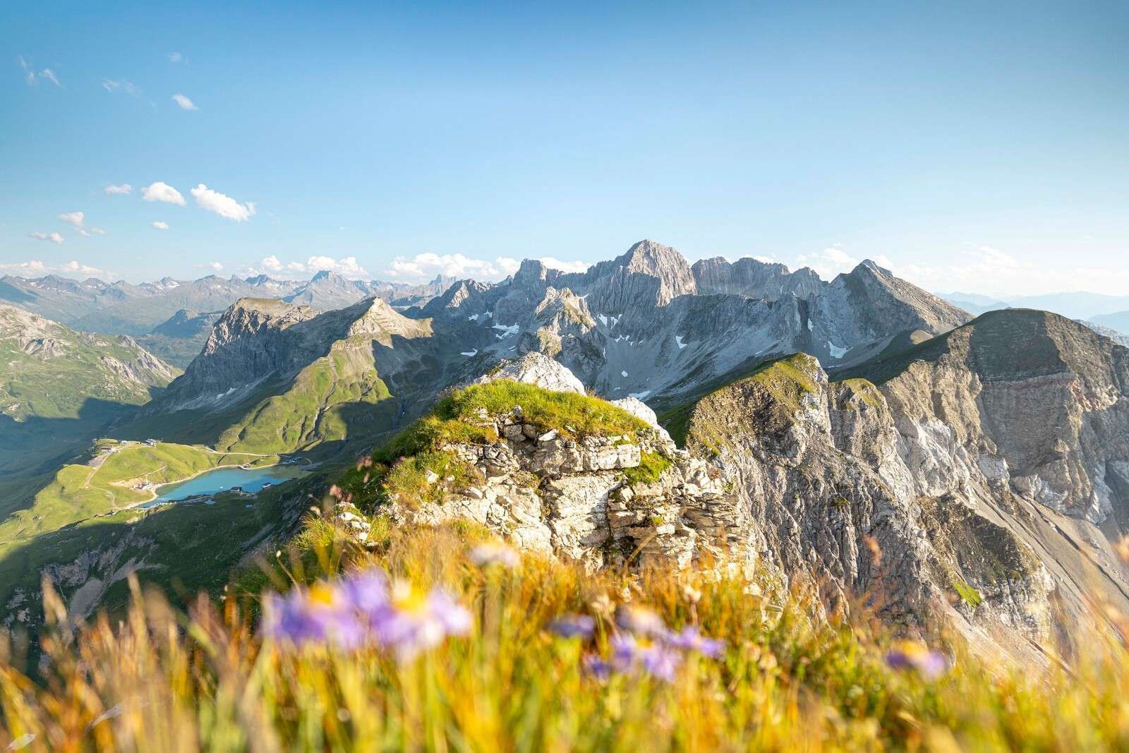 Cumbres alpinas veraniegas con flores
