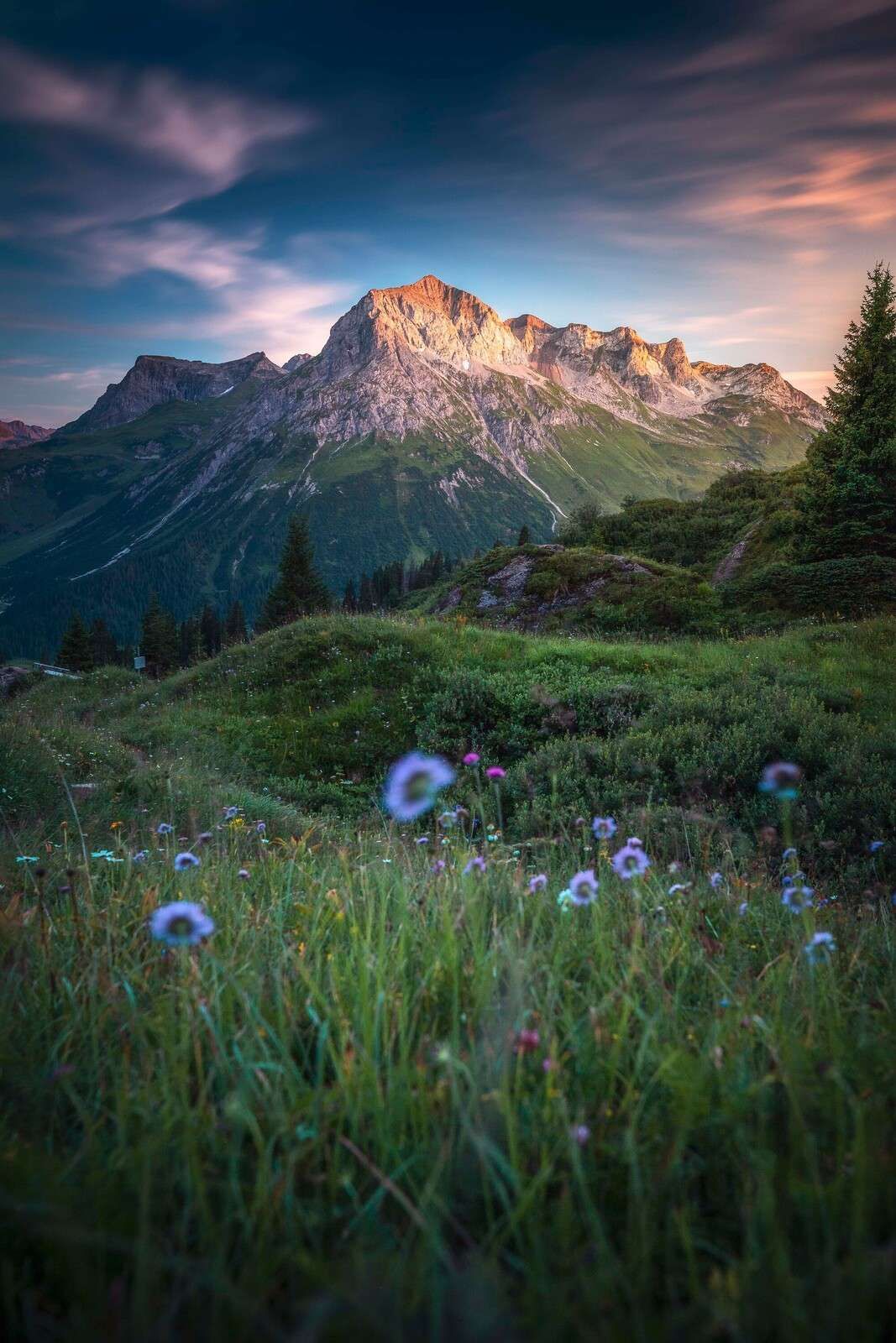 Luz de la tarde sobre el valle de las flores