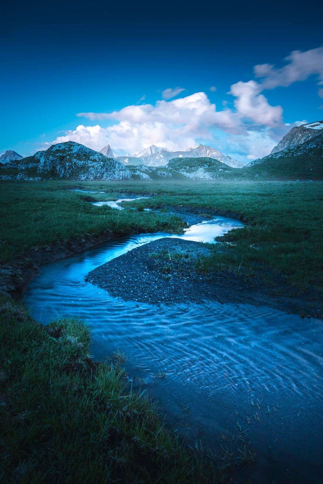 Bosque de montaña bajo el cielo azul de la tarde.
