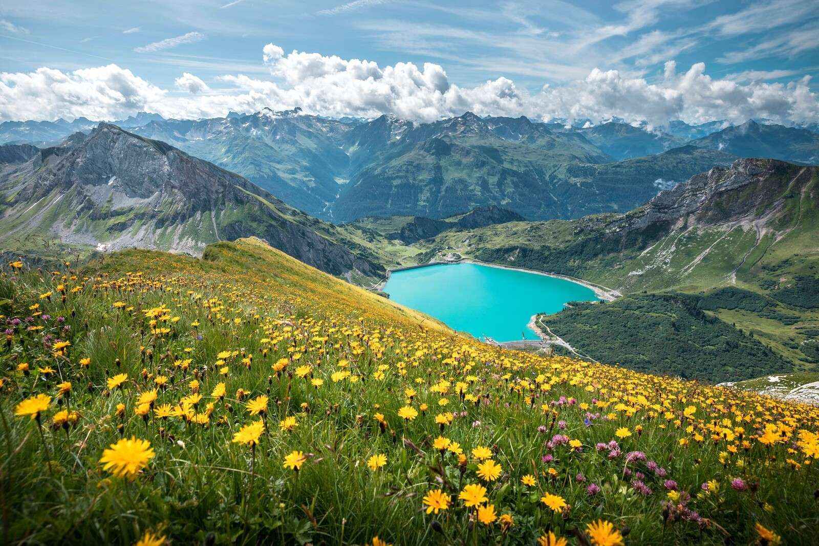 Prado de flores sobre un lago de montaña turquesa