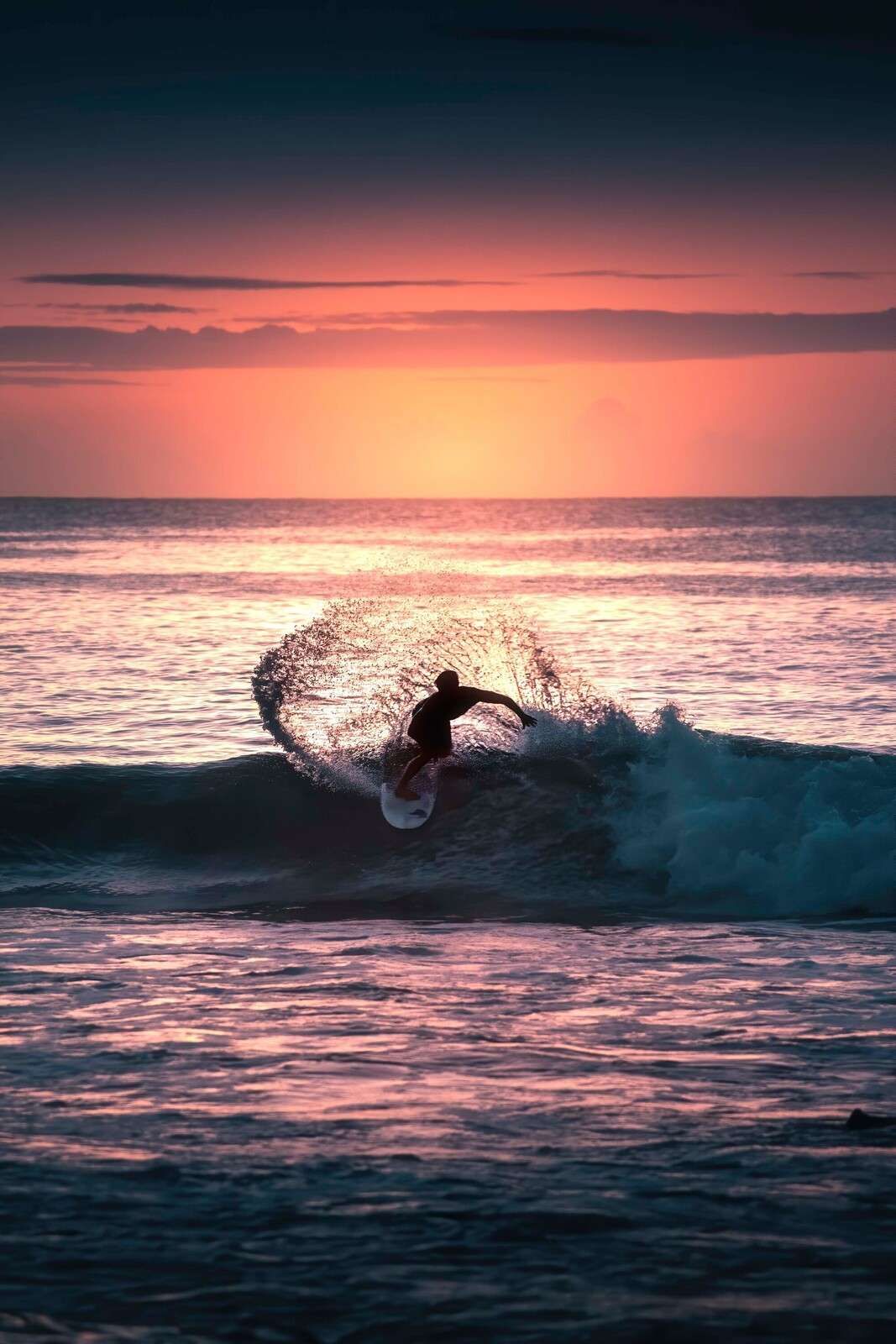 Surfista en el resplandor rosado de la tarde.