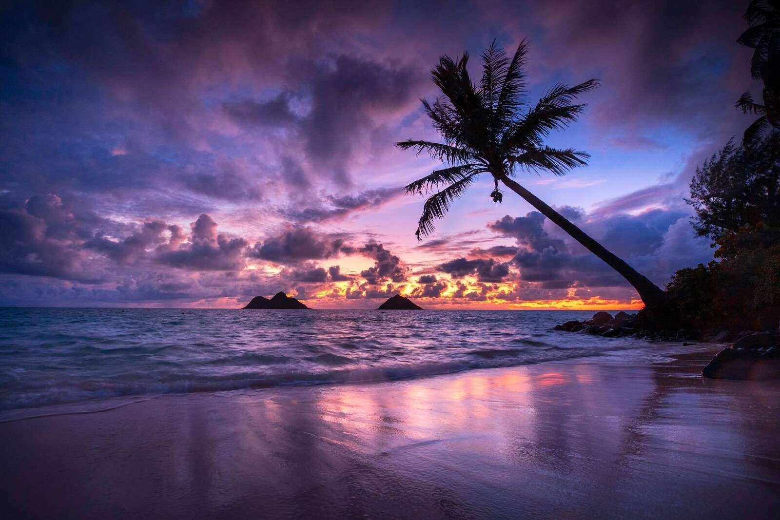 Costa Tropical en la Puesta de Sol Púrpura