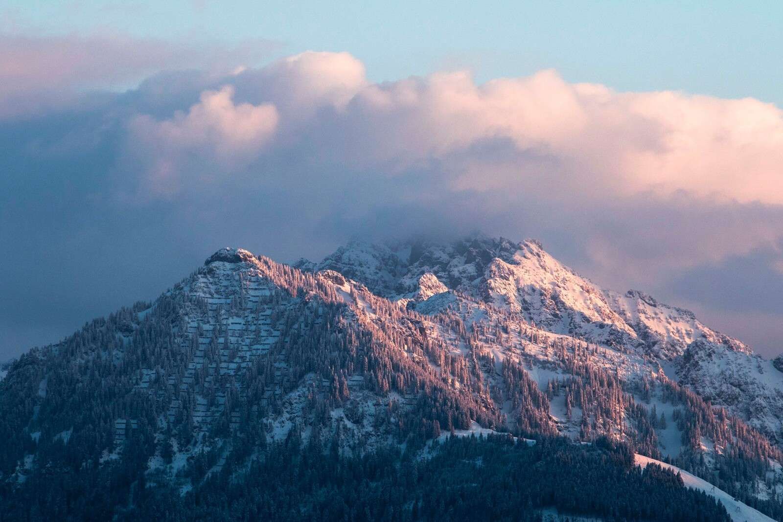 Luz de invierno rosa sobre las cumbres de las montañas.