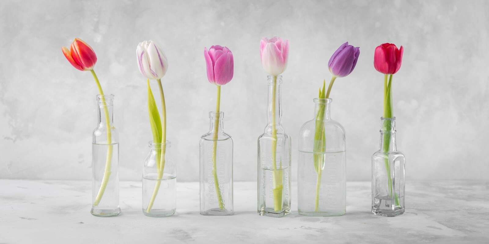 Tulipanes en botellas de vidrio