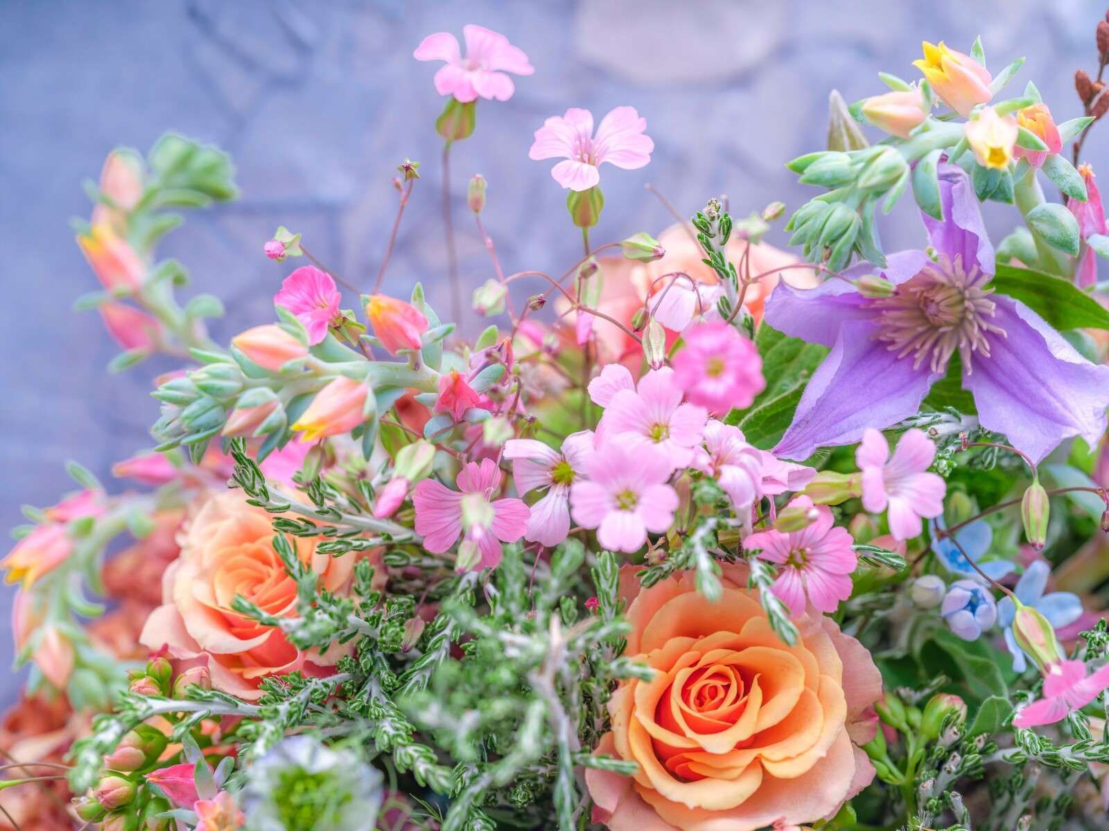 Rosas y flores mezcladas