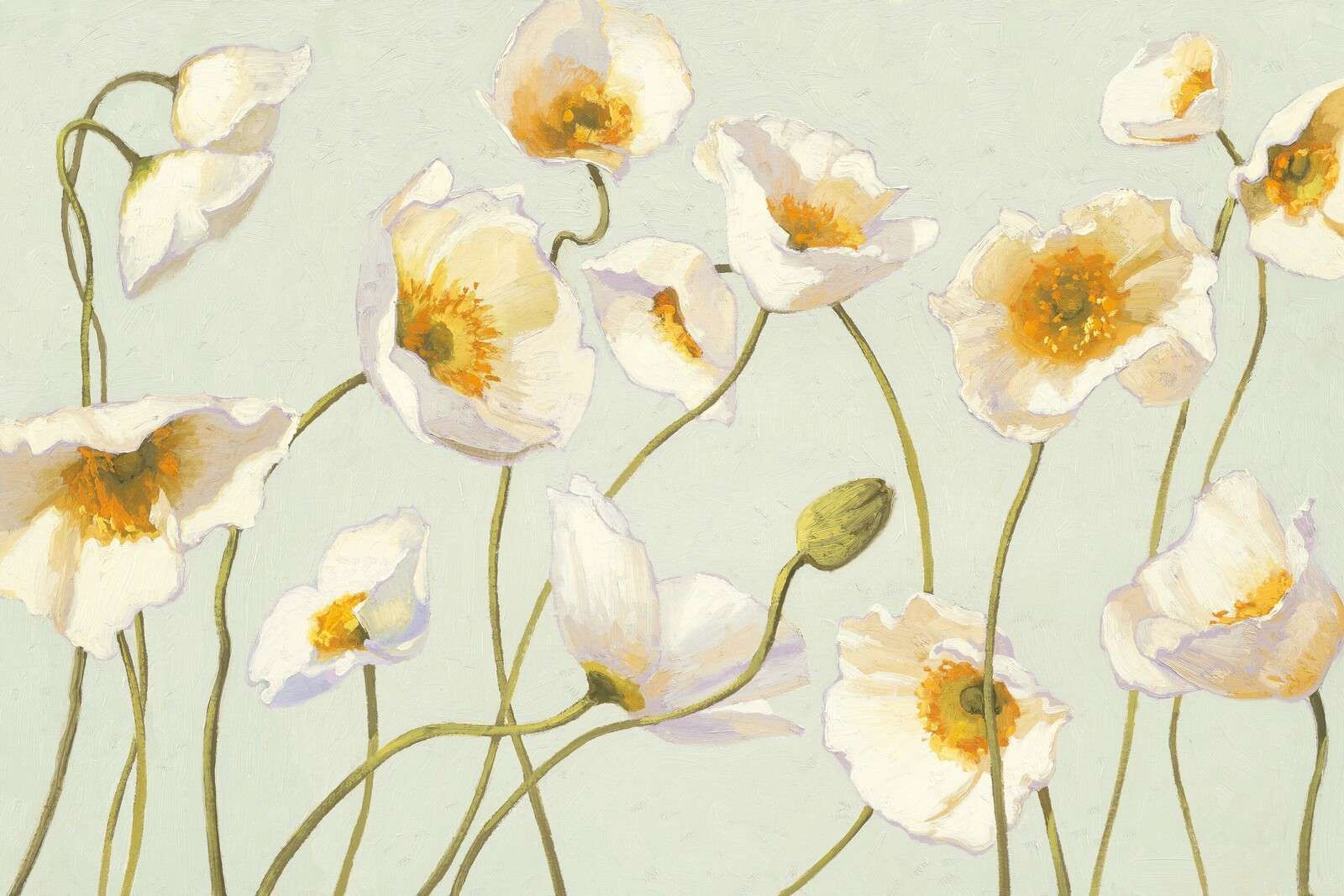 Amapolas blancas en suave viento.