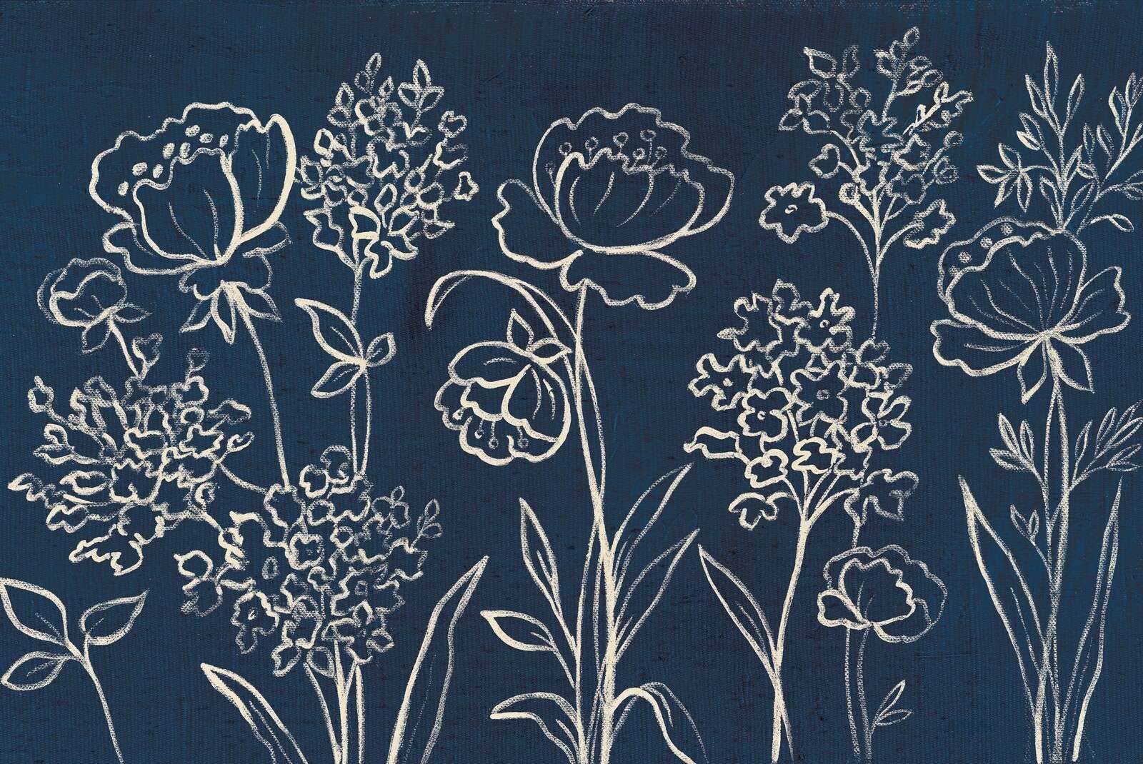 Flores nocturnas en contraste de tiza