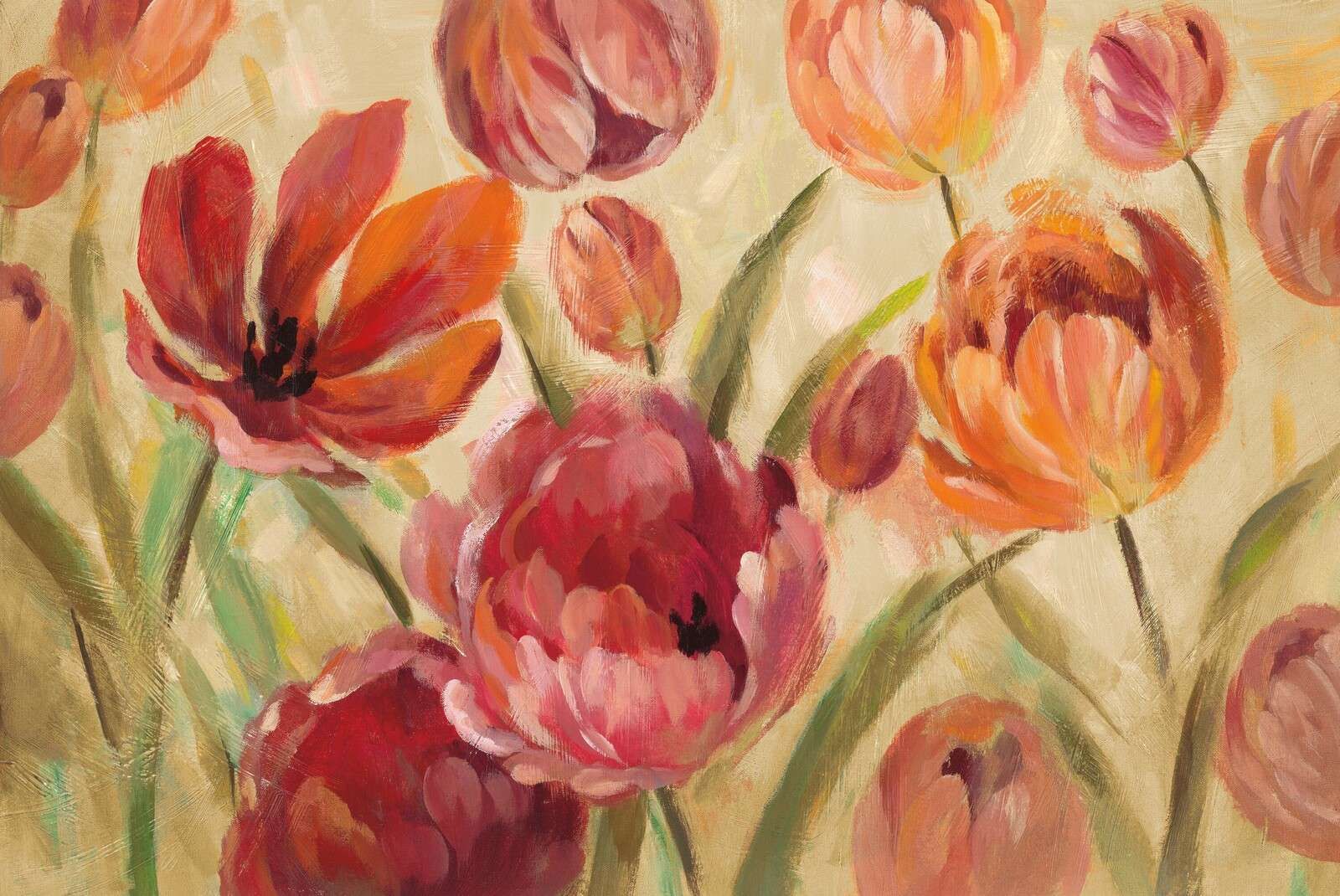 Campo floreciente de esplendor de tulipanes