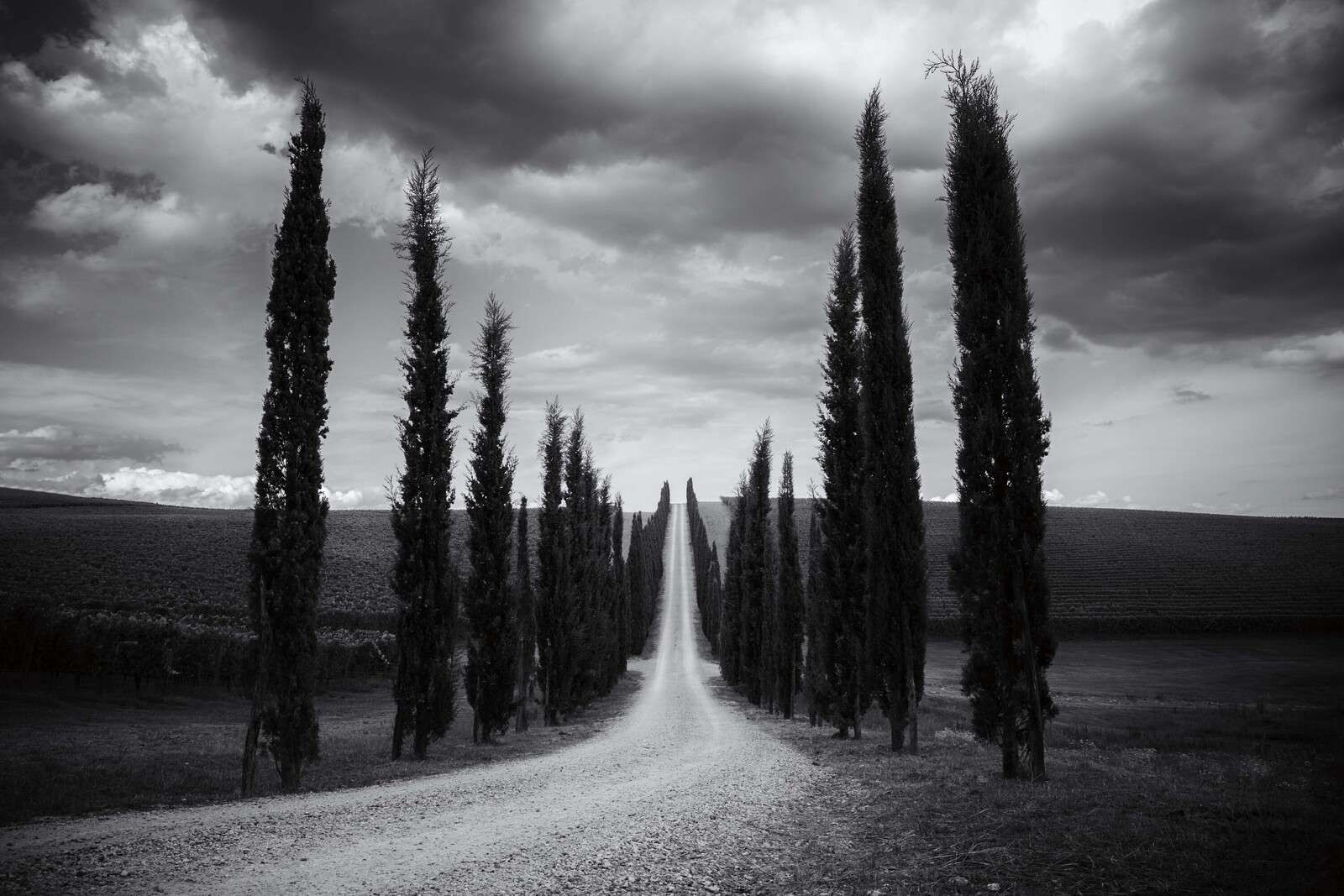 Cypressenlaan en Silencio Toscano
