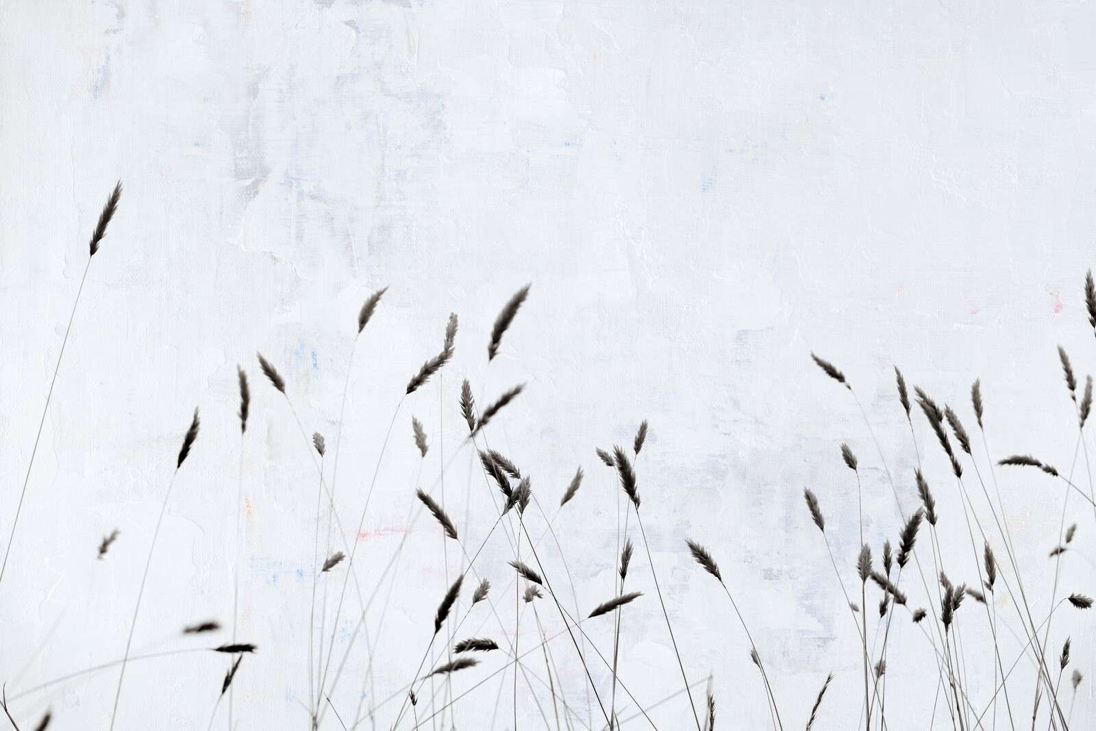 Hierba de campo minimalista en silencio