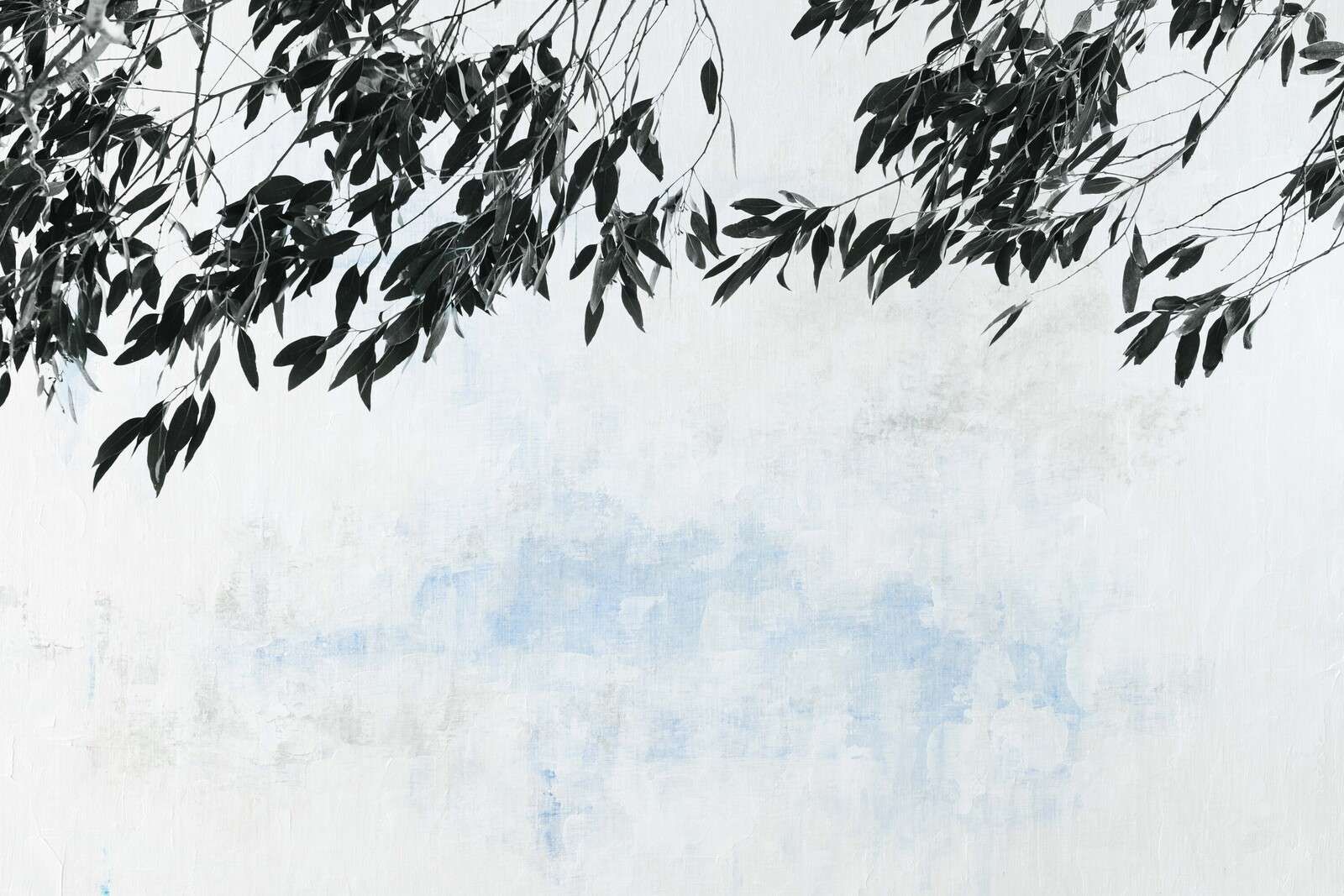 Ramas oscuras contra cielo claro.