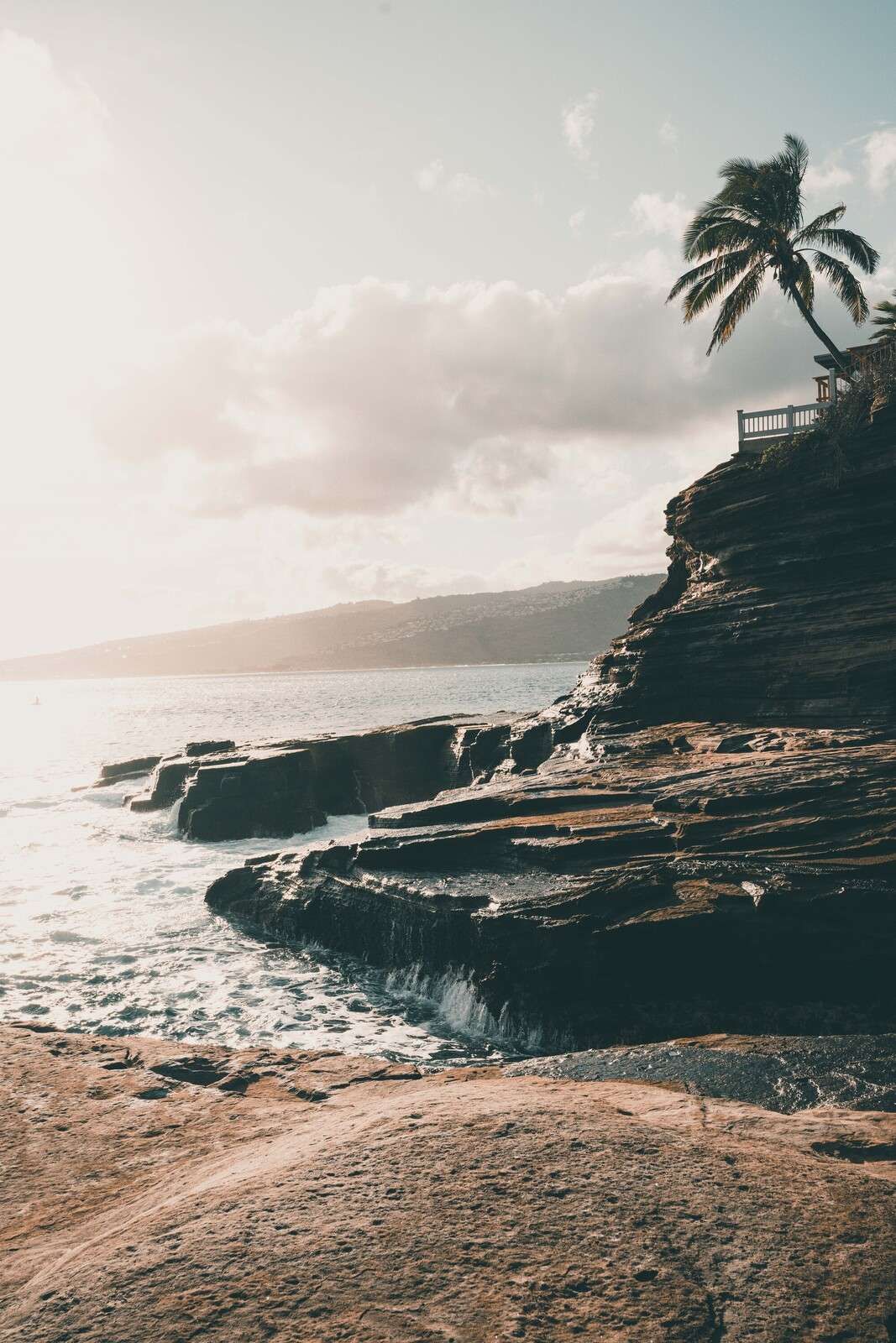 Costa oxidada con una palmera solitaria
