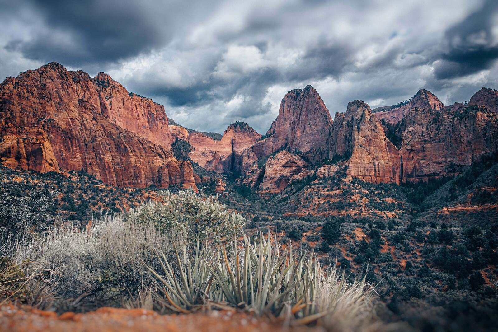 Acantilados rojos en la luz del desierto.
