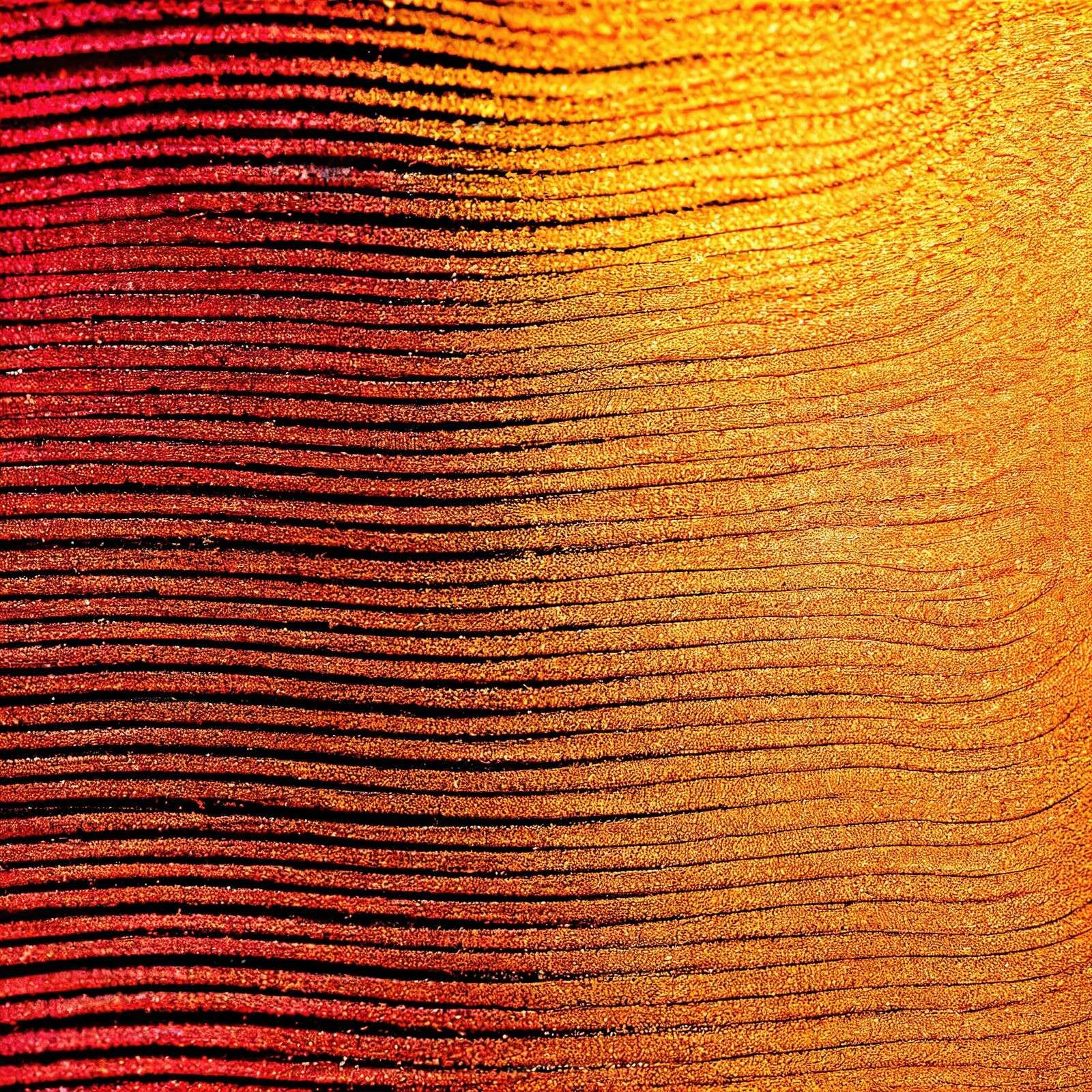 Flor de azafrán Macro Cobra