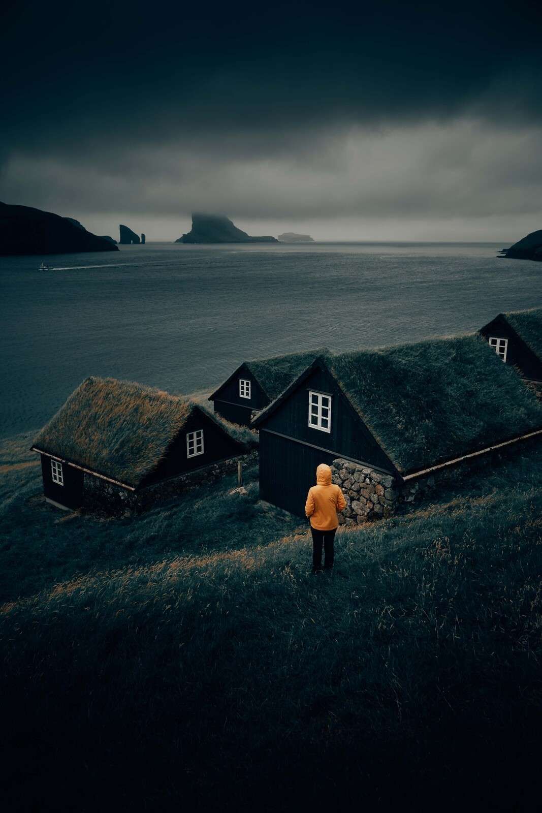 Techos de césped junto a un fiordo del norte