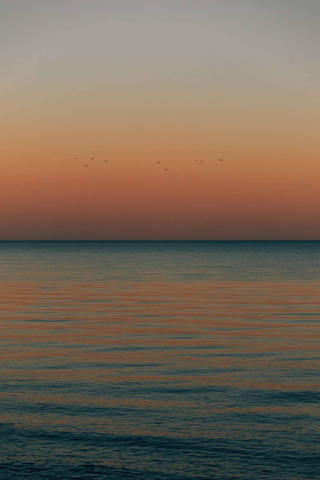 Mar en calma al atardecer