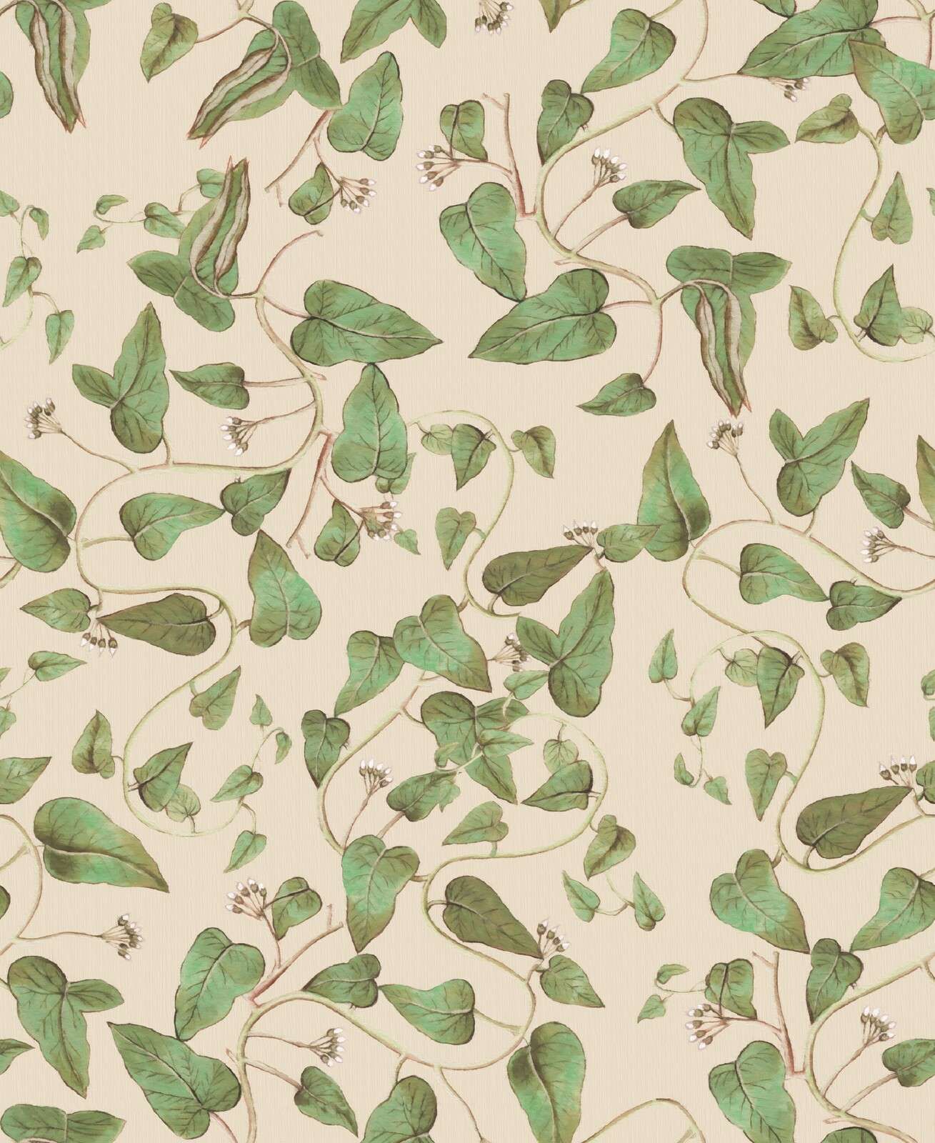 Enredaderas de judías trepadoras sobre crema