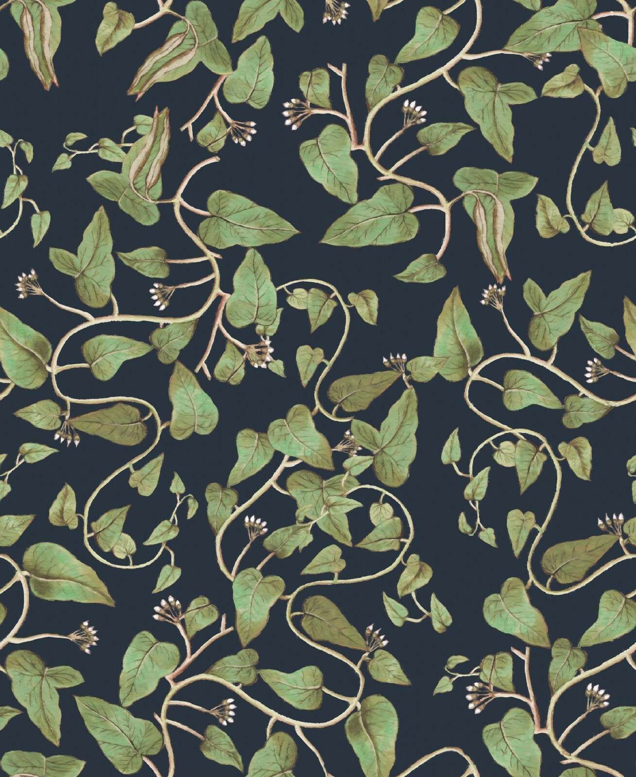 Enredaderas de frijoles trepadores sobre azul noche.