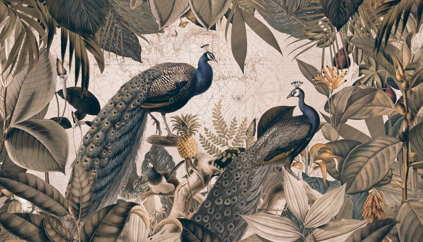 Ensueño de pavo real vintage azul beige