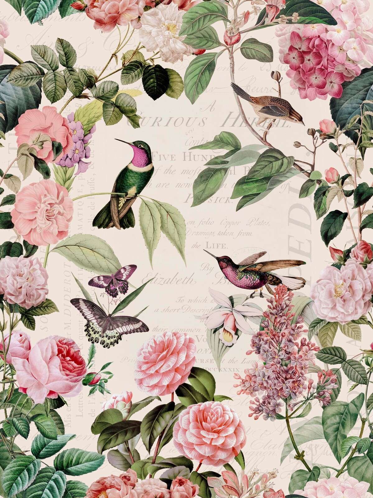 Colibríes y rosas