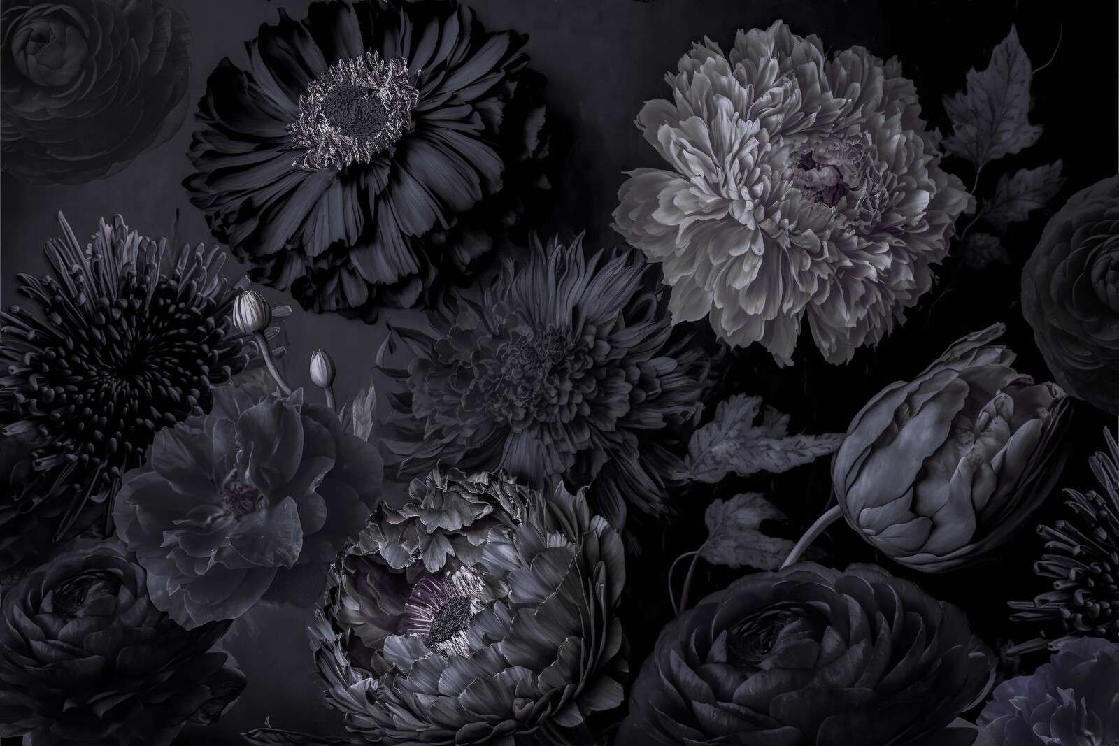 Flores gris oscuro melancólicas