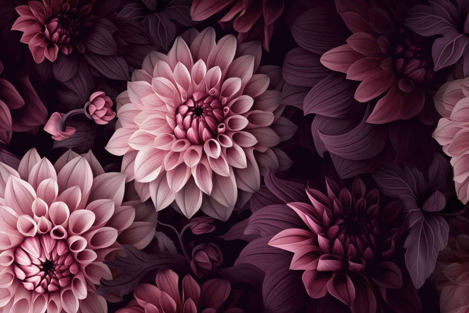 Flores de dalia opulentas y melancólicas, rosa melancólico