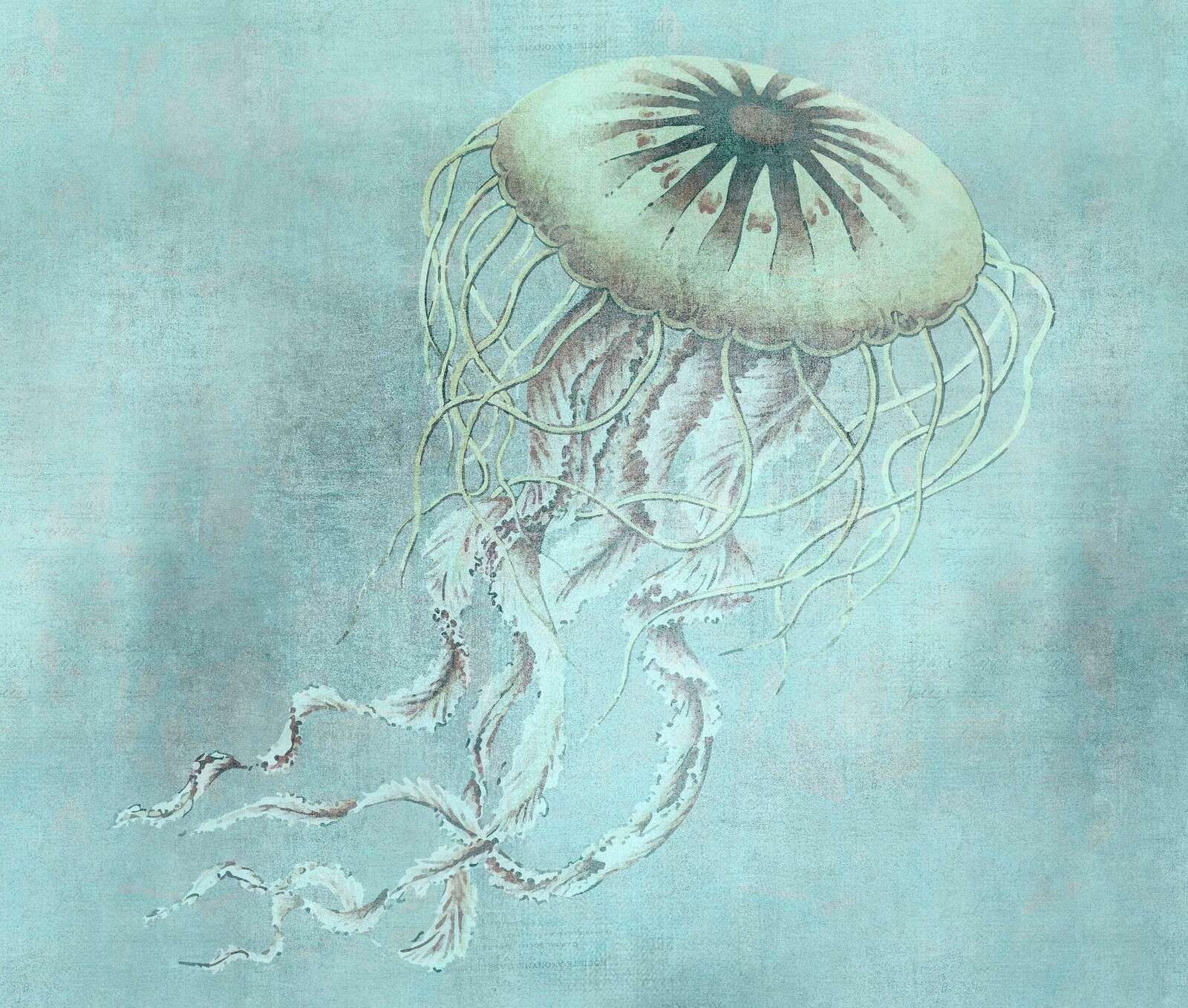 Turquoise jellyfish
