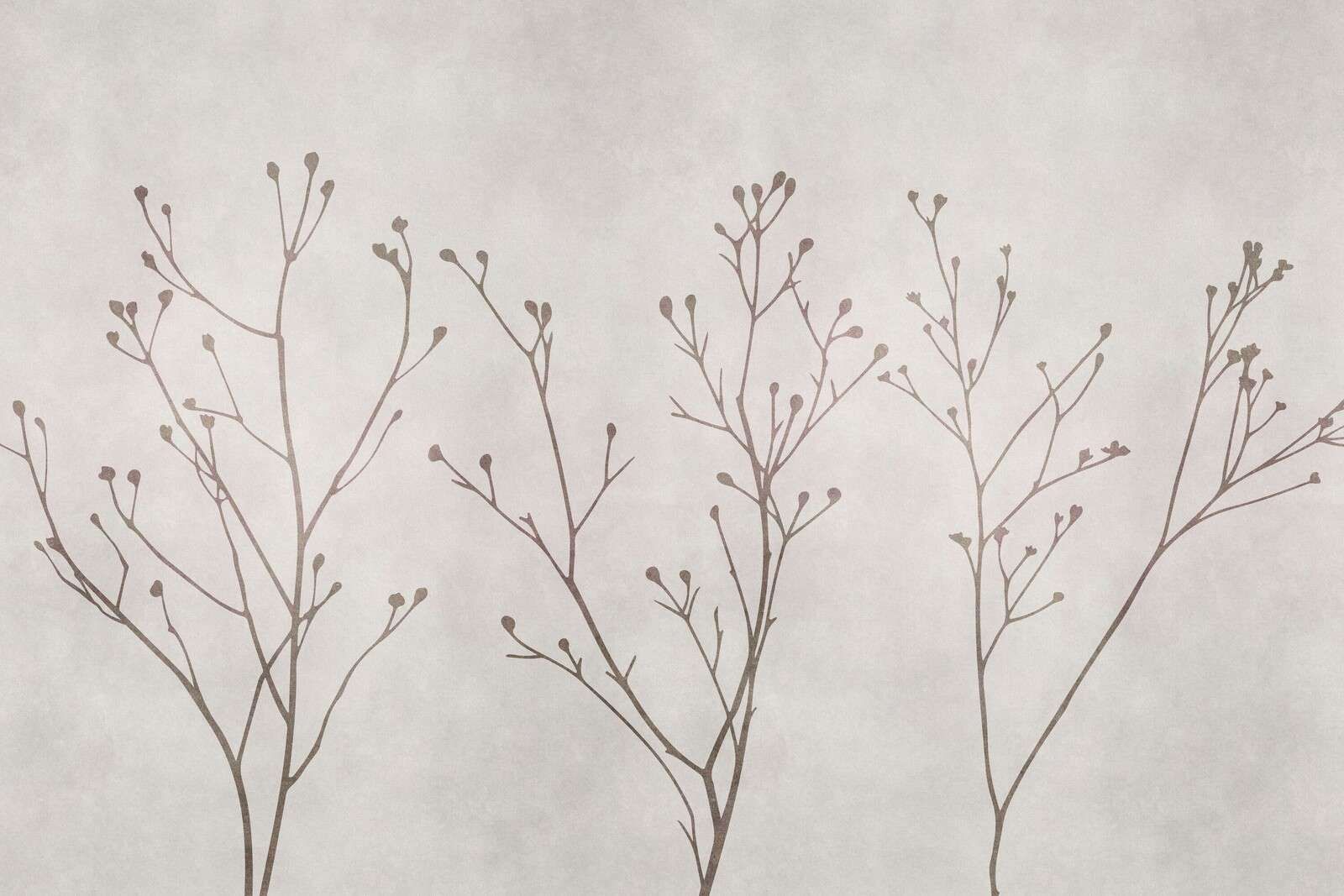 Minimalistic delicate wildflower silhouettes