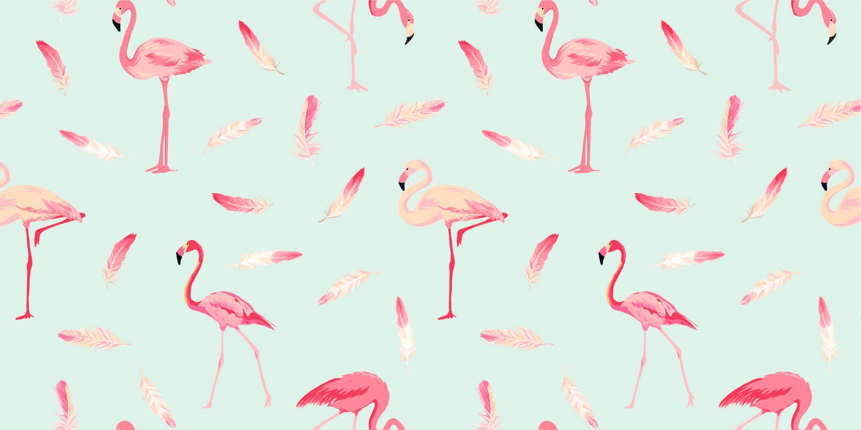Flamencos main product photo
