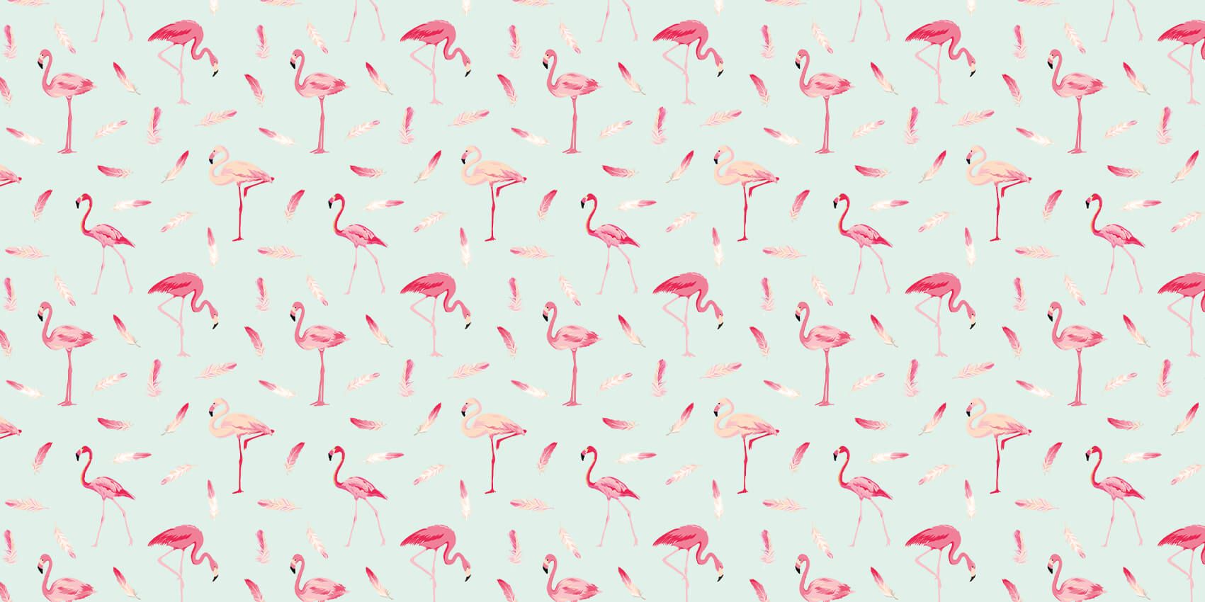 Flamencos main product photo