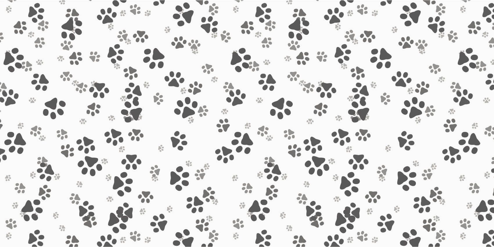 Patas de perro main product photo