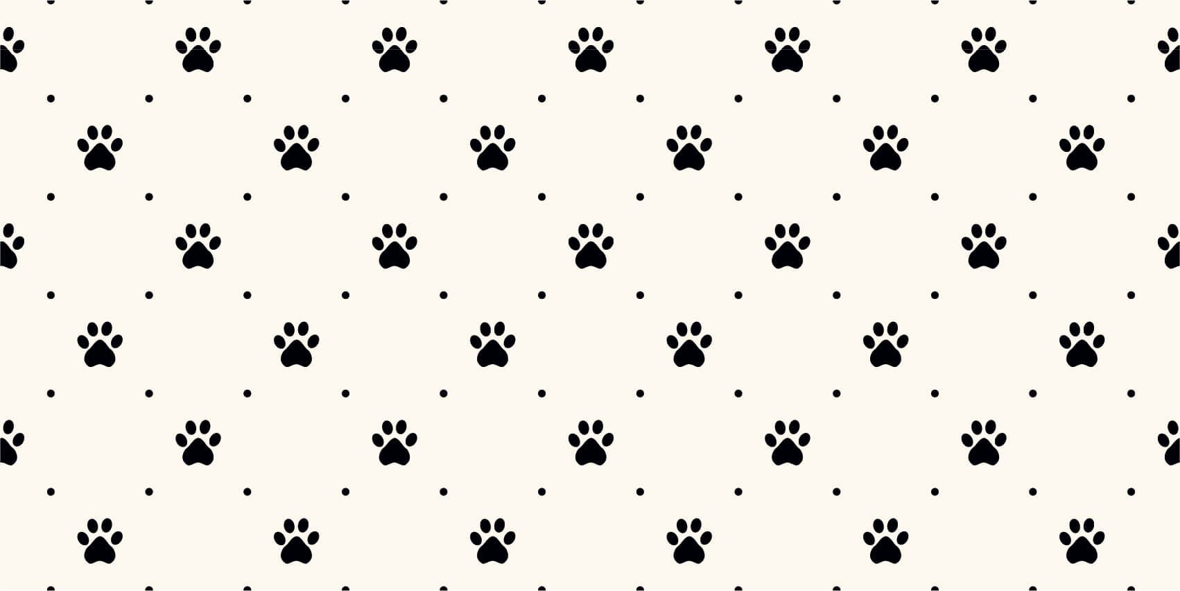 Patas de perro main product photo
