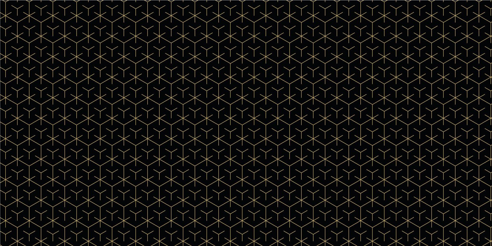 Hexágonos geométricos, negros main product photo