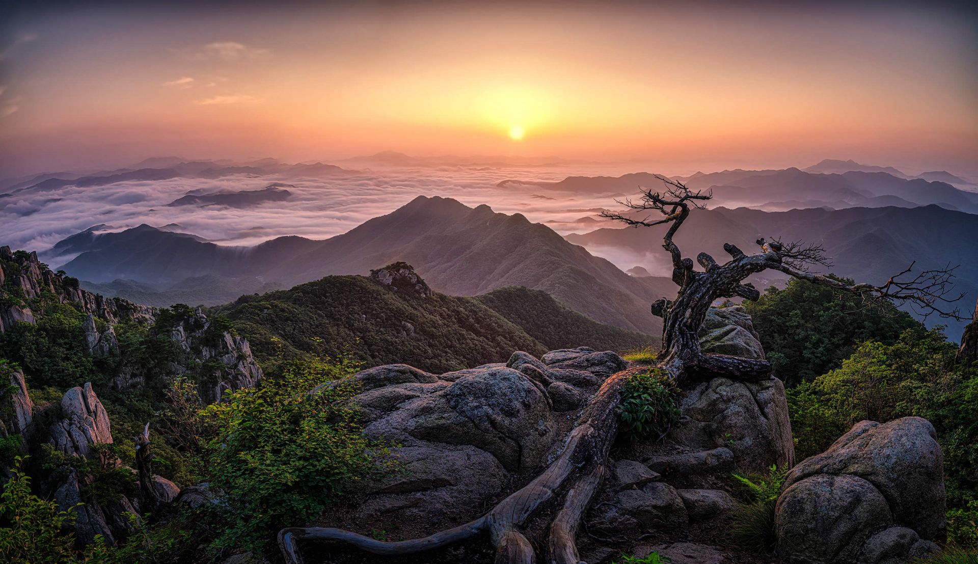 Amanecer en la cima main product photo
