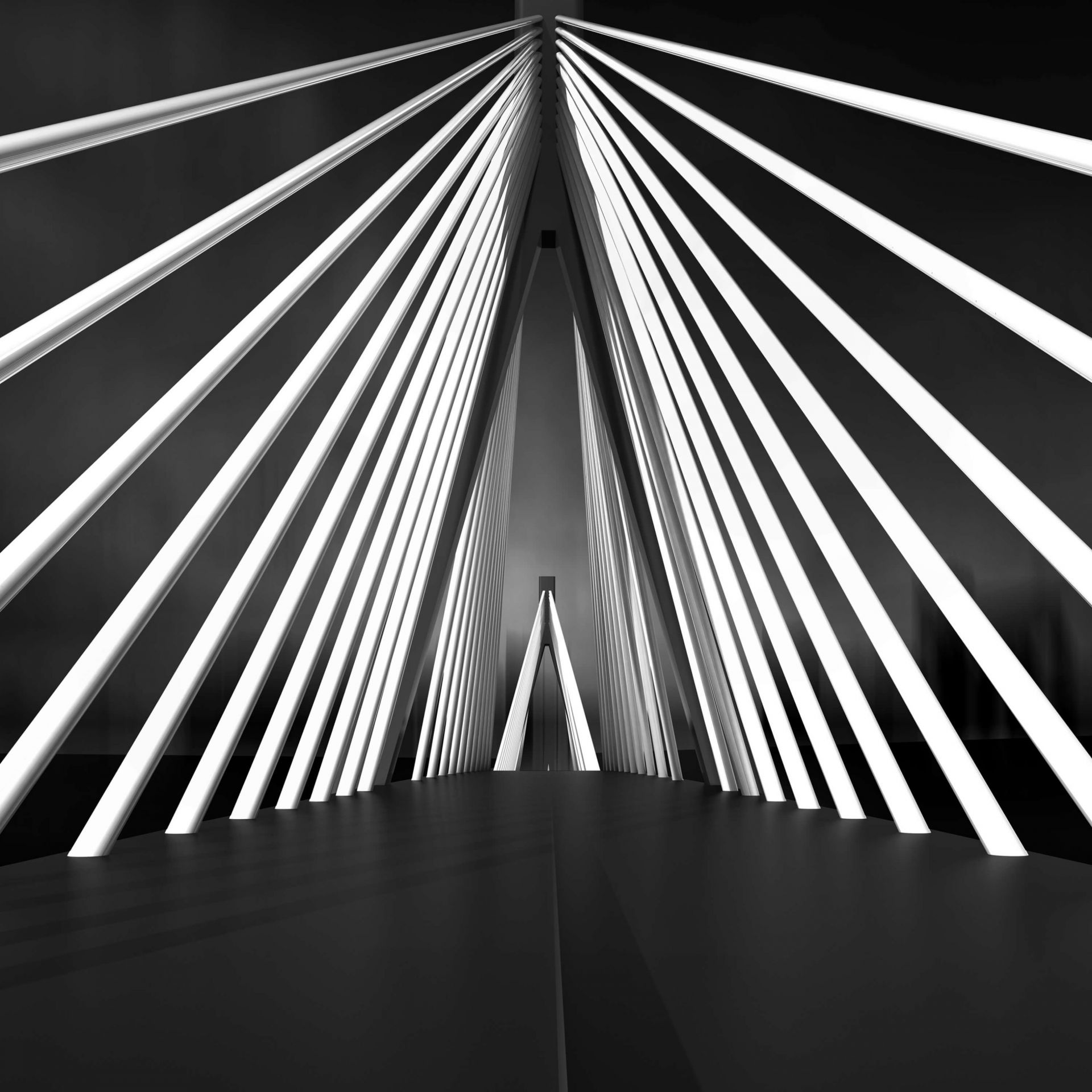 Puente de cuerdas grande main product photo