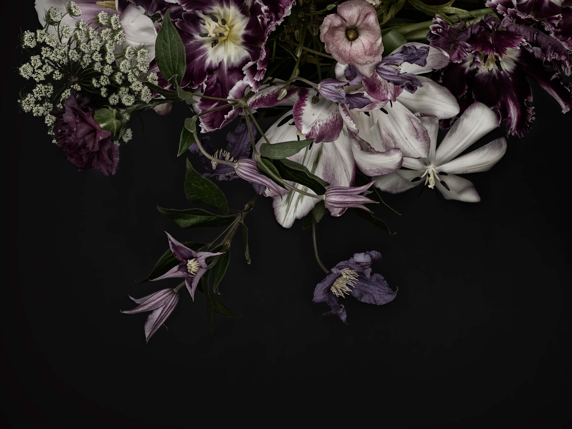 Pared de flores main product photo