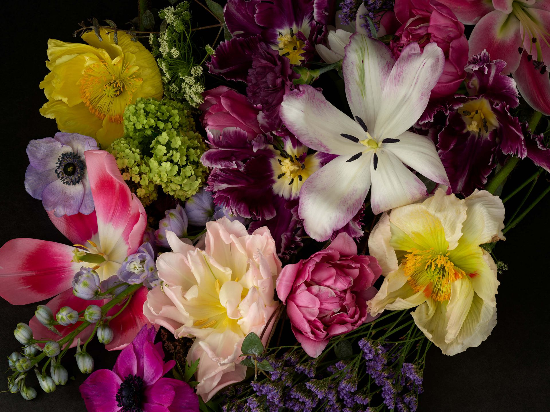 Flores de colores main product photo