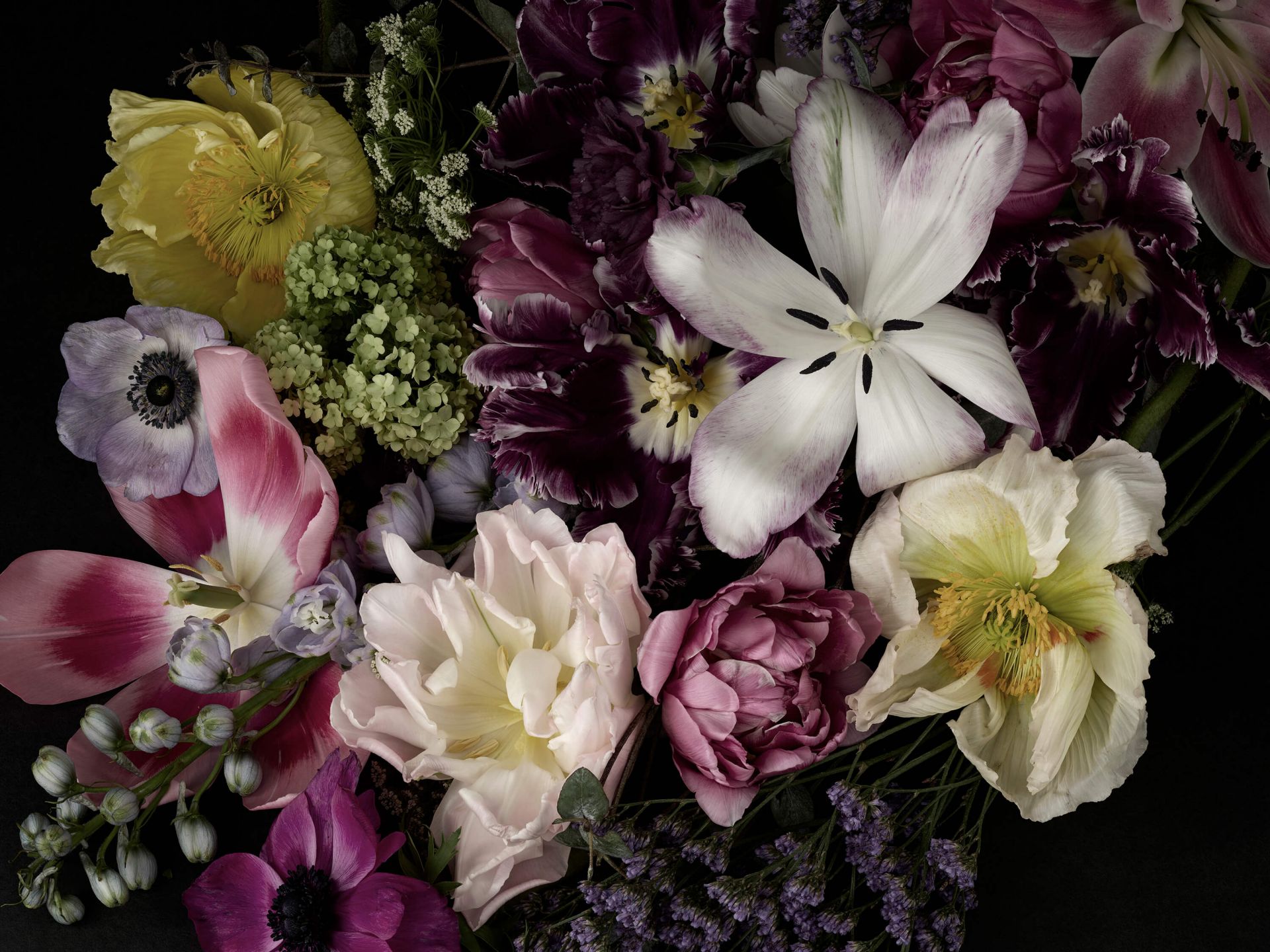 Flores de colores oscuros main product photo