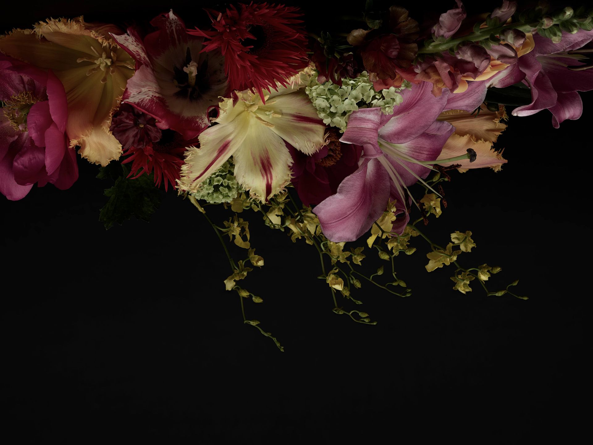 Flores colgantes main product photo