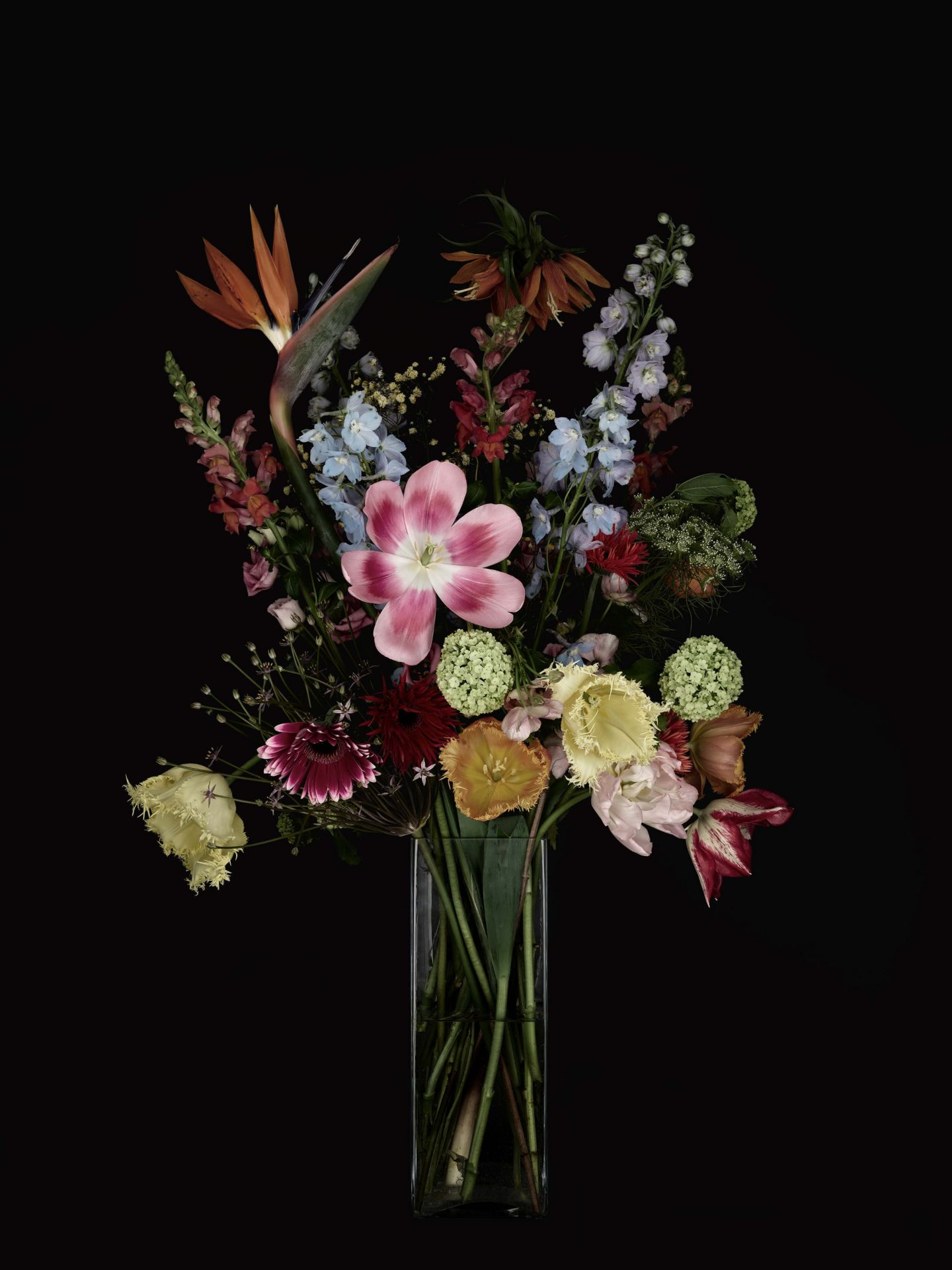 Bodegón de flores main product photo