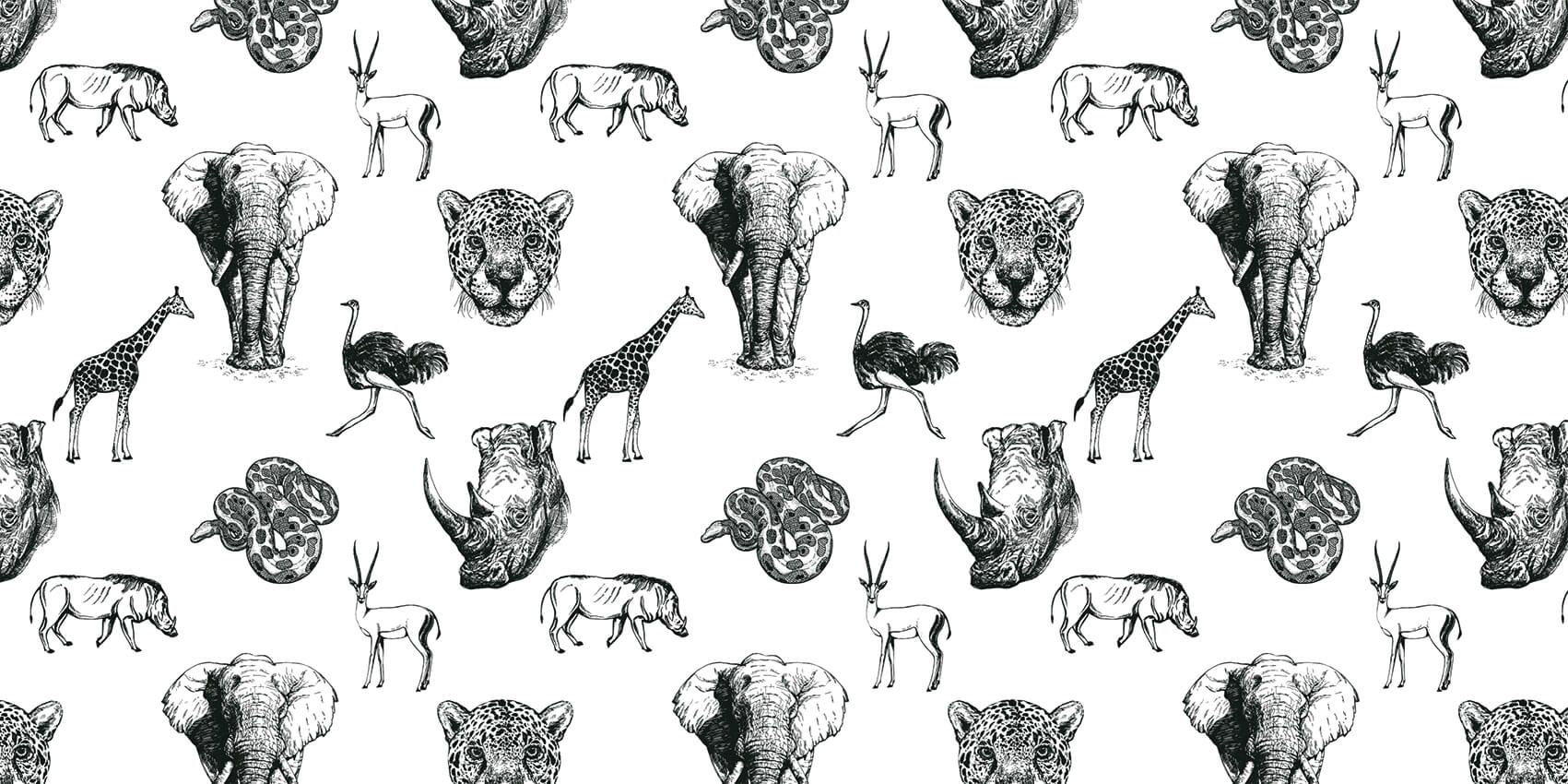 Dibujo de animales main product photo