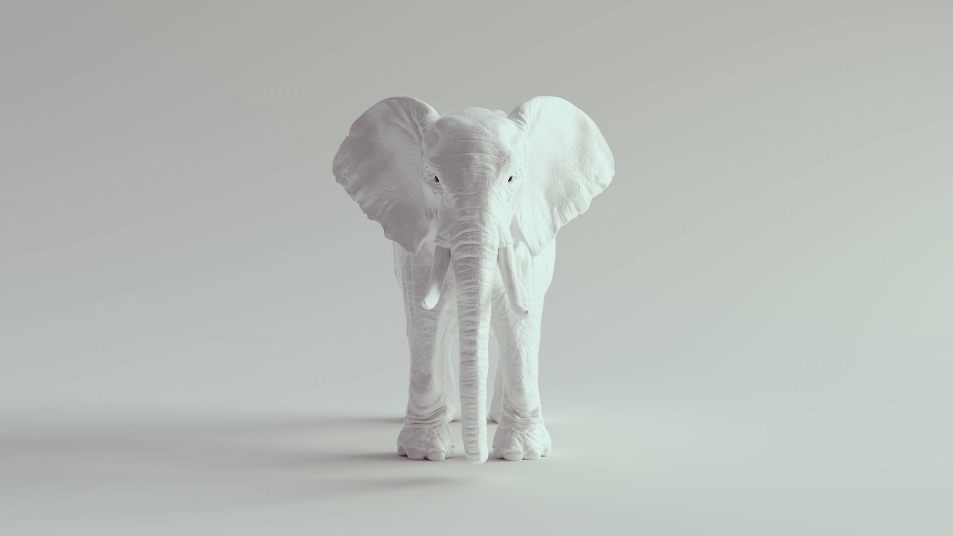 Elefante 3D main product photo
