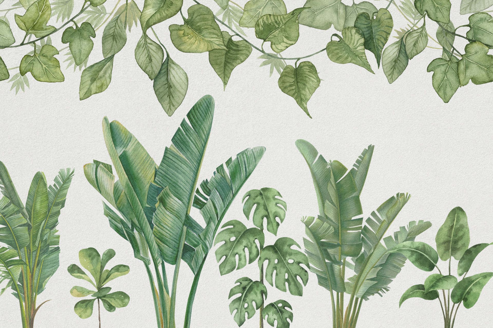 Plantas de la selva tropical main product photo
