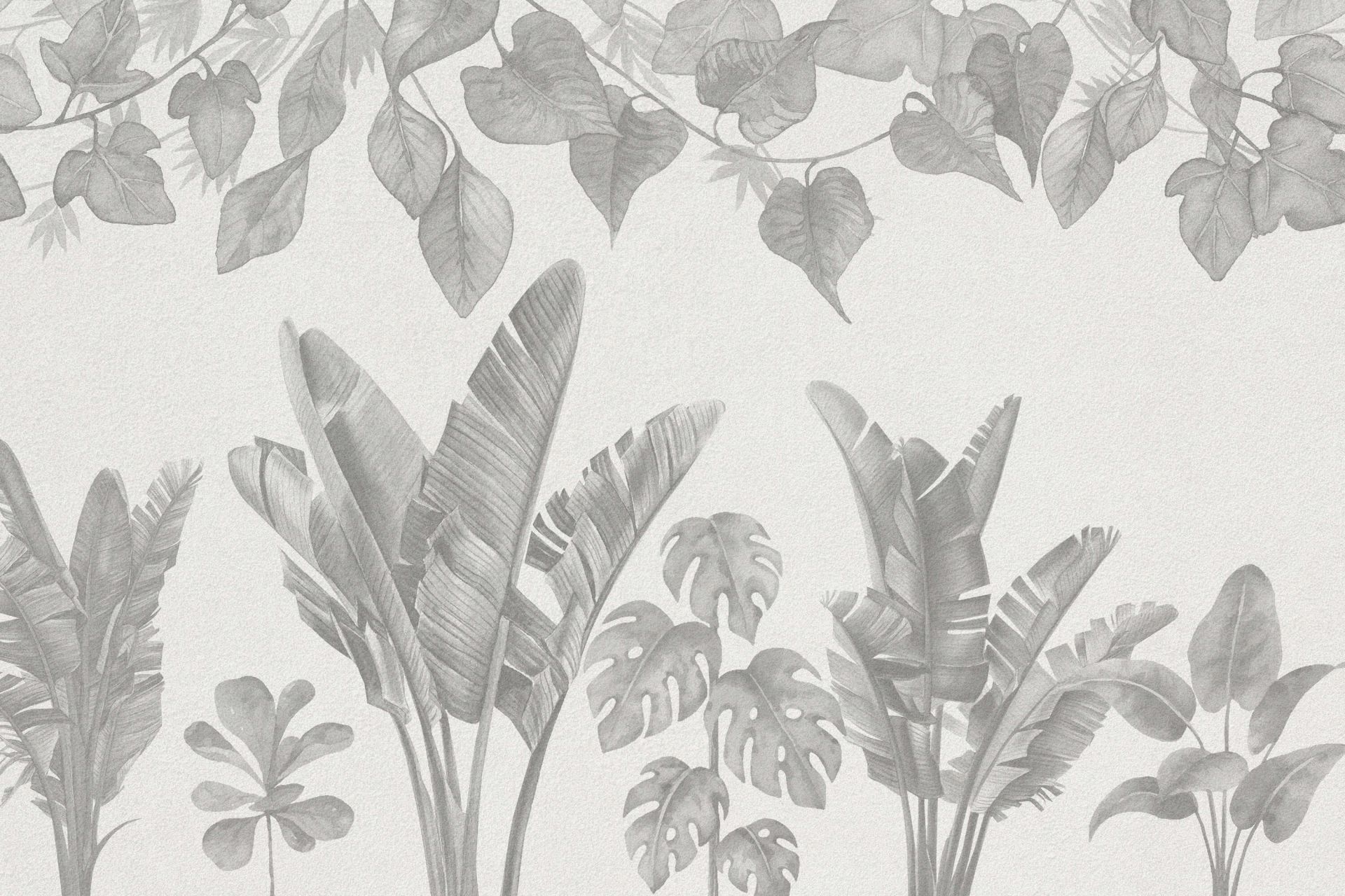 Plantas de la selva en tonos grises main product photo