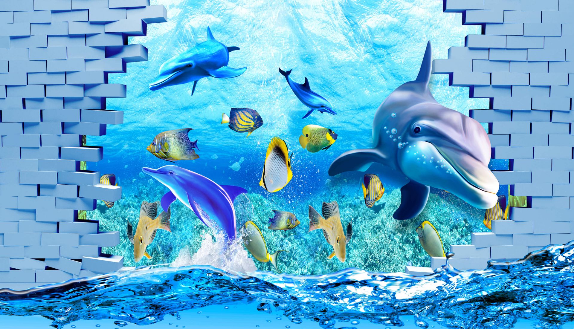 Delfines detrás de un muro main product photo