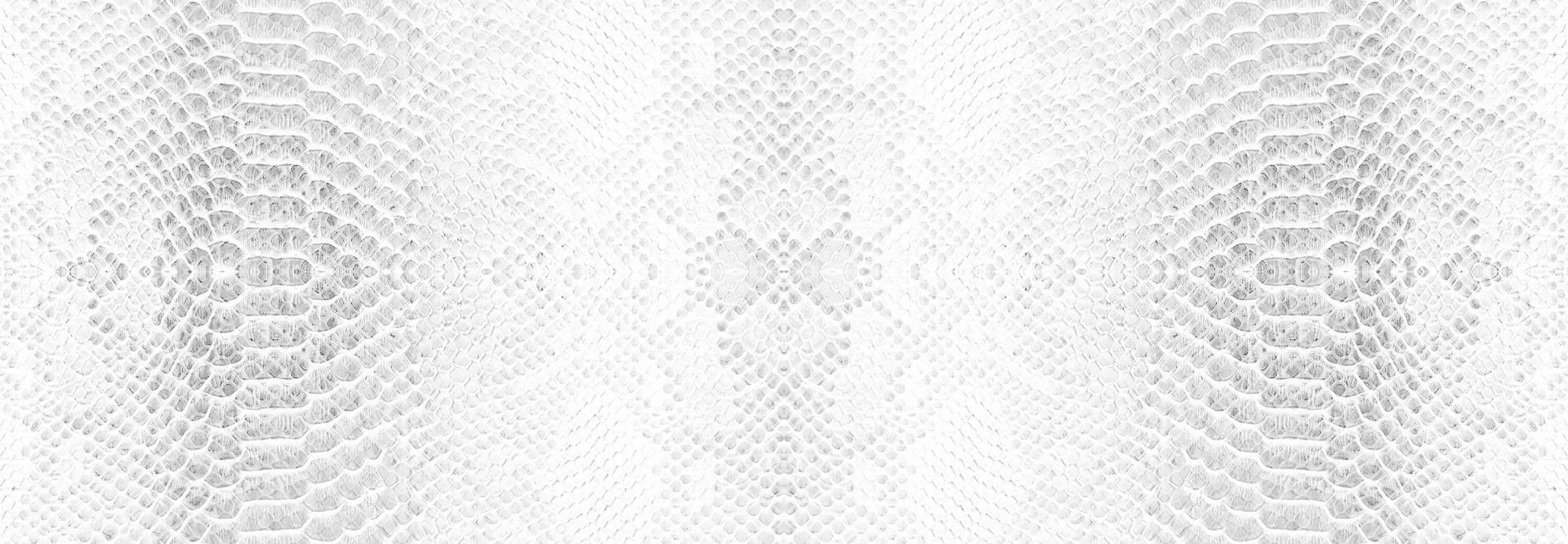 Textura de la piel de la serpiente main product photo