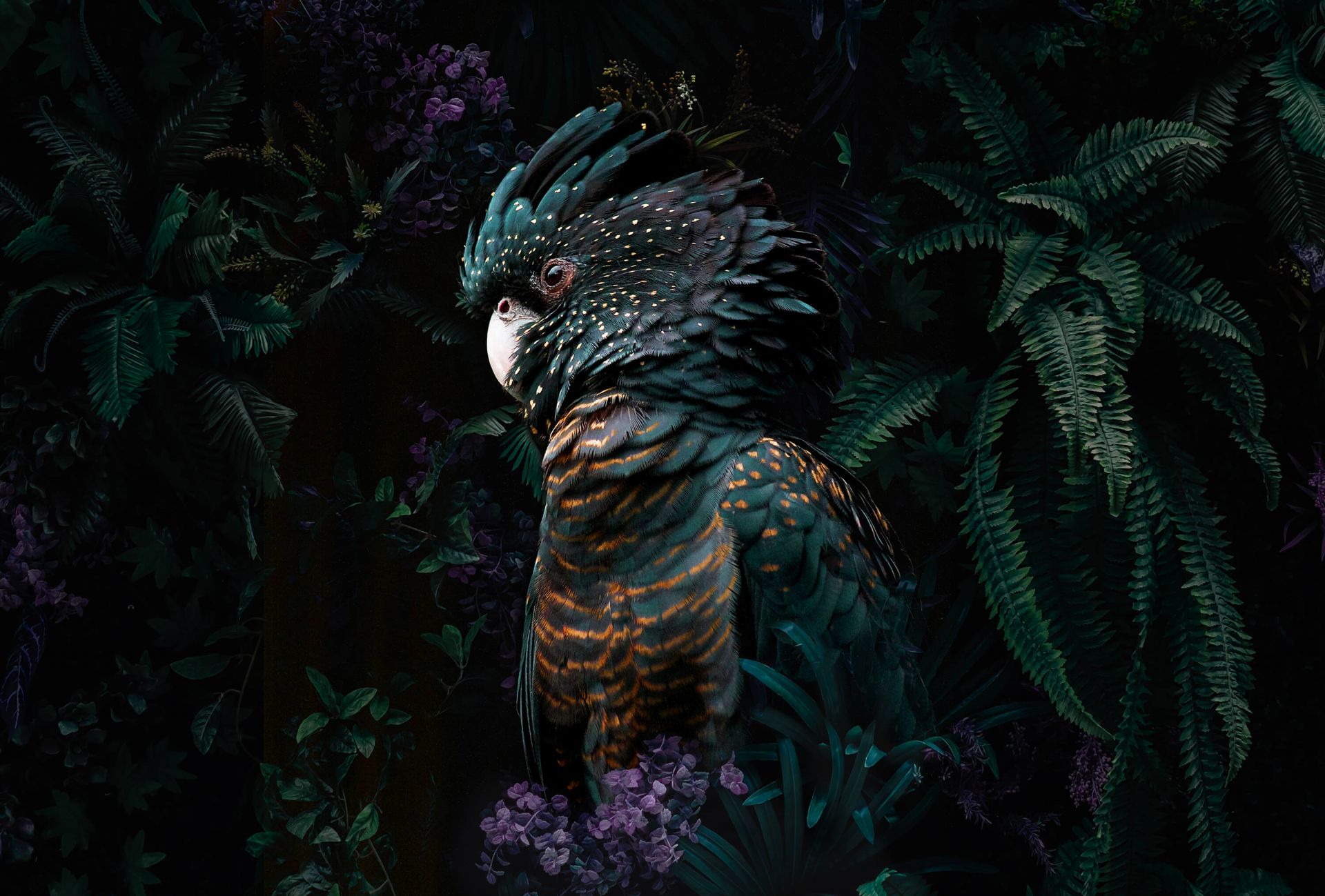 Jungle Cockatoo main product photo