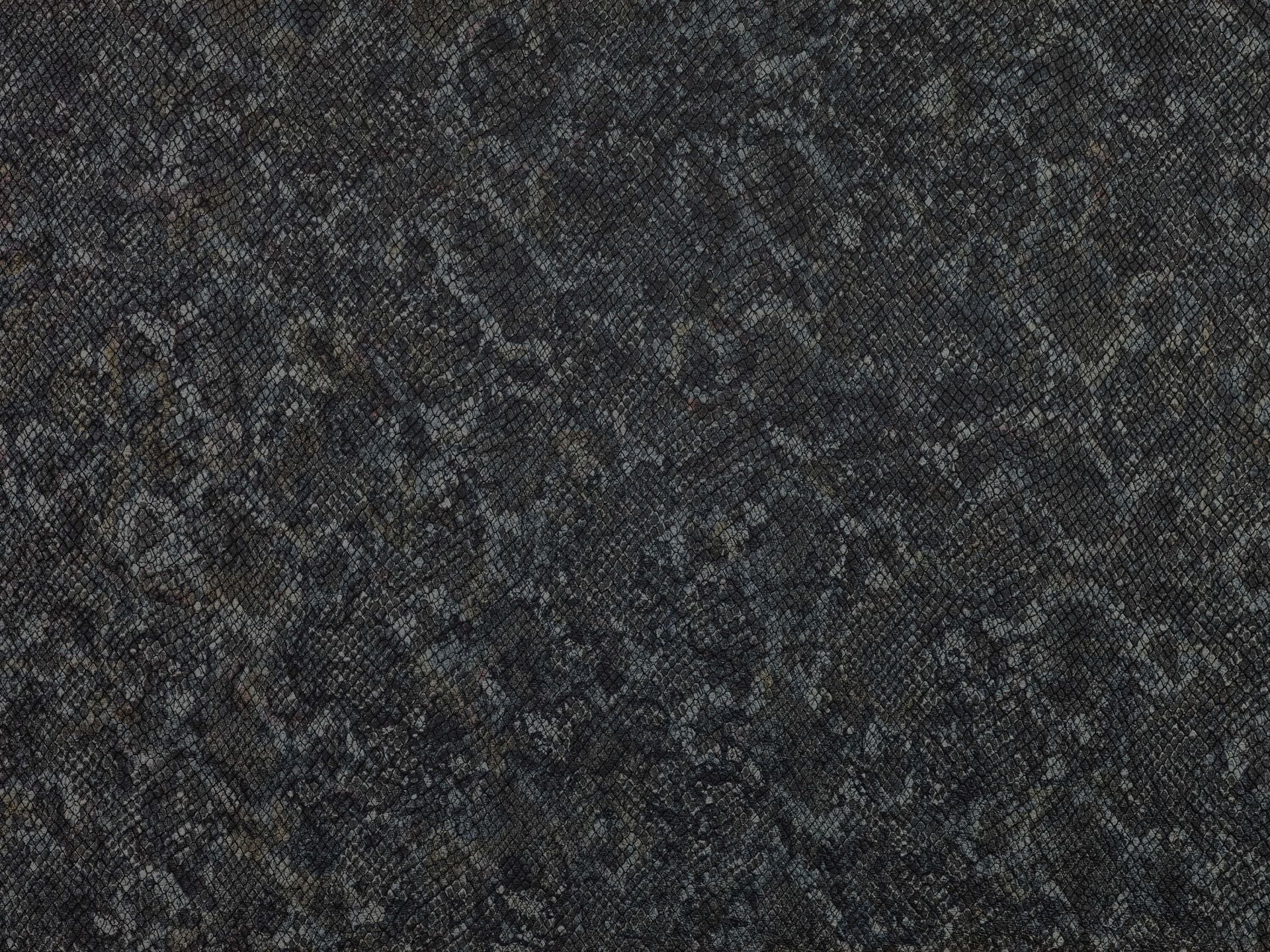 Textura de piel de serpiente main product photo